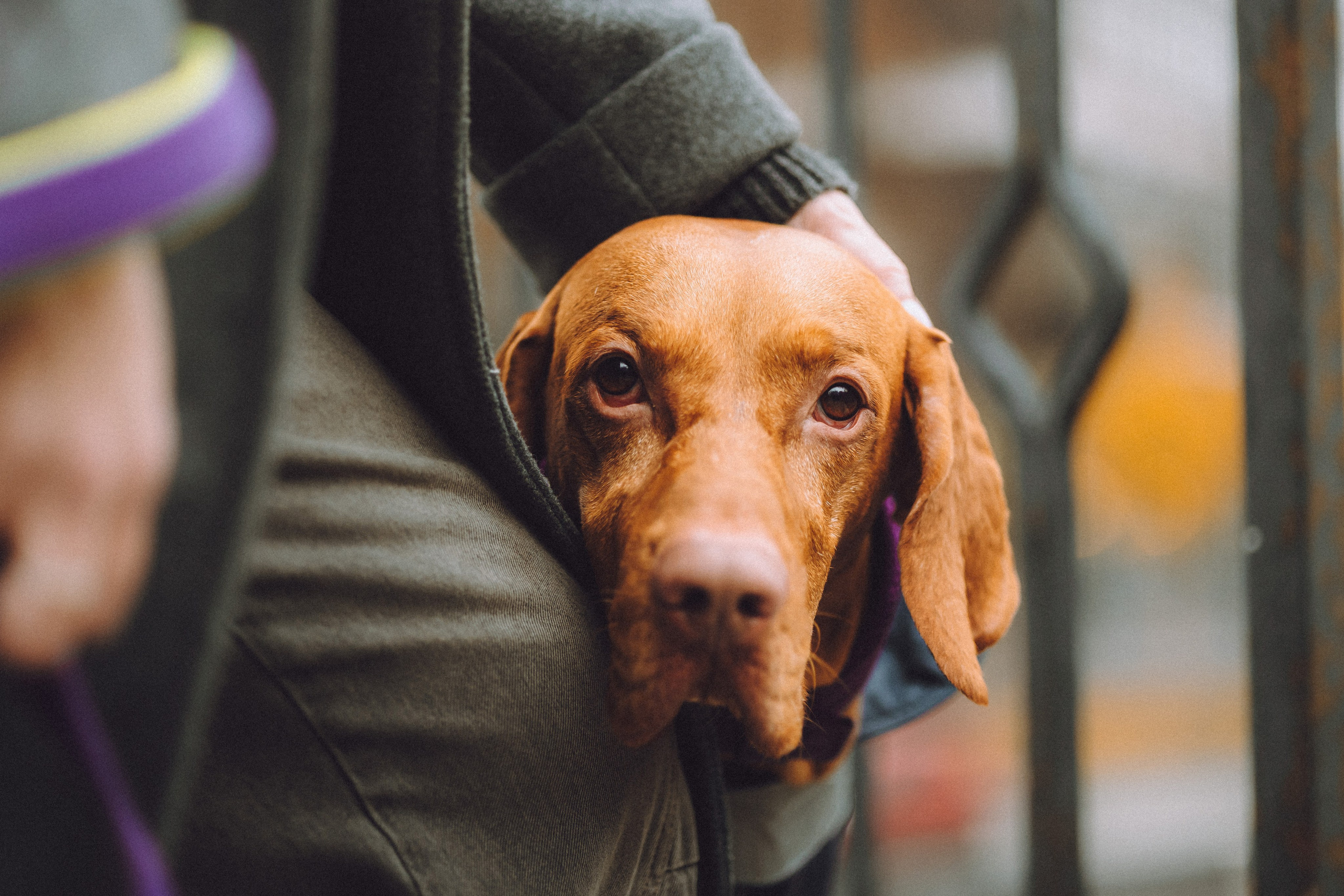 Екатерина и Даня