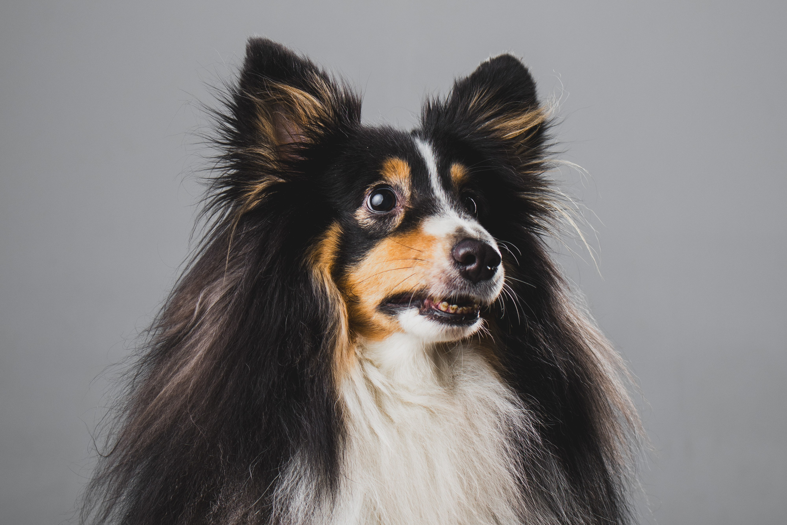 Воркшоп по импульсному свету