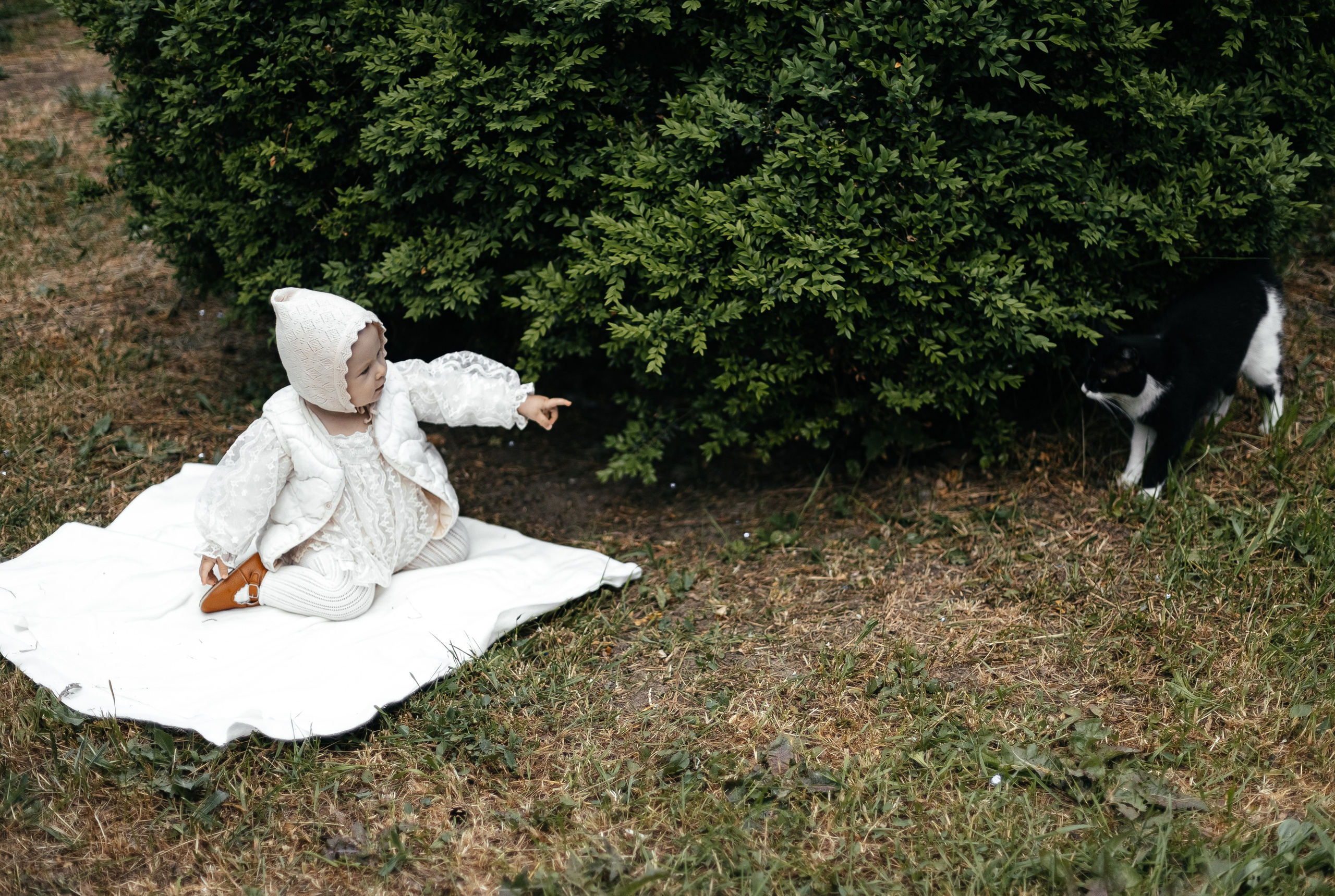 Семья Масловец. Главная