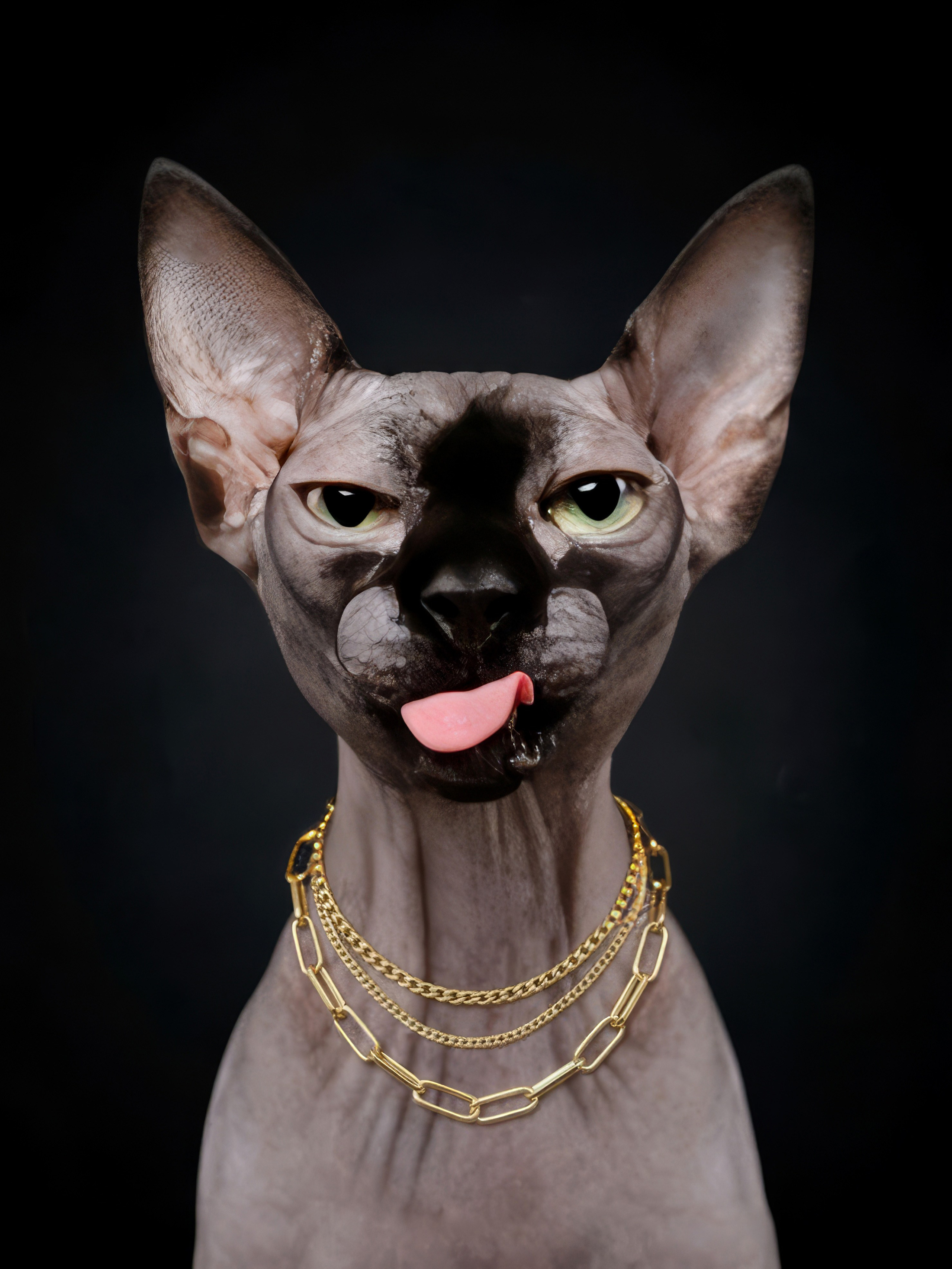 Украшения. Регина Зебра — предметный фотограф Москва Подольск | Съёмка для маркетплейсов и соцсетей