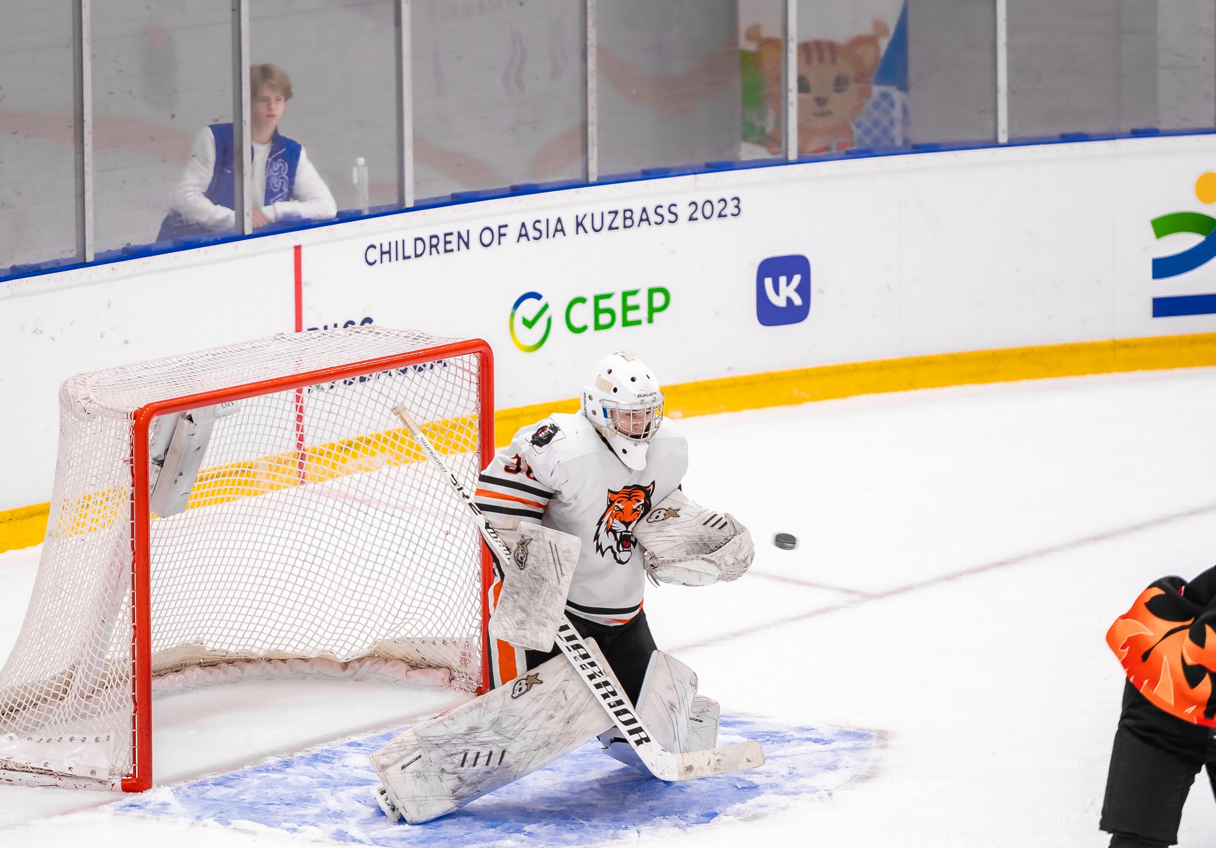 Кузбасс-ДФО. ProfotoNK