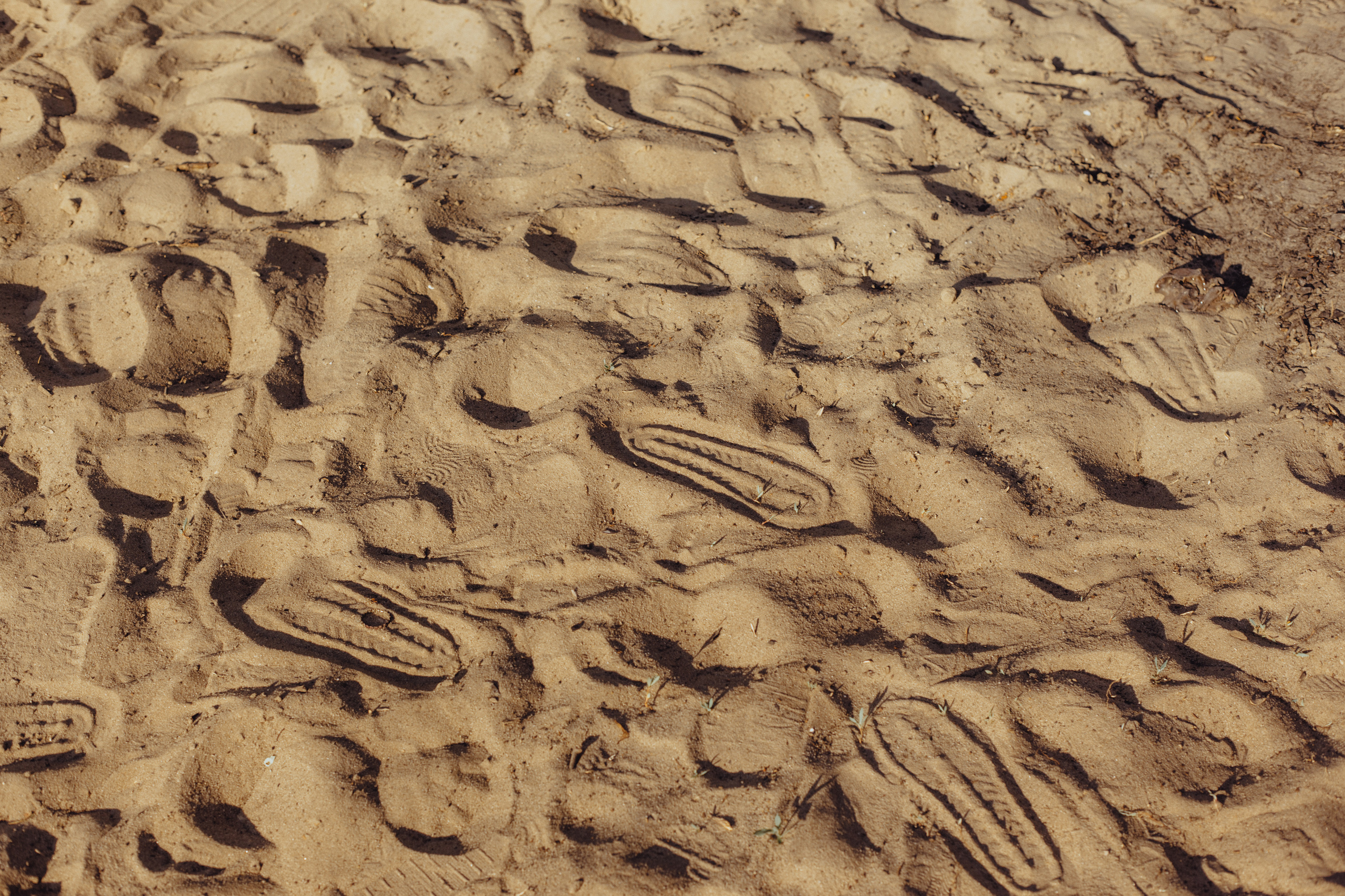 О 07.06.23. Фотограф Старый Оскол Мавлыга Мария