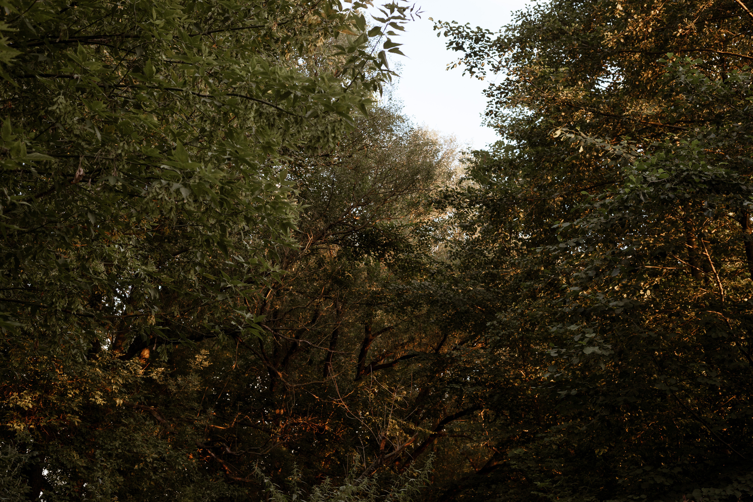 О 30.07.22. Фотограф Старый Оскол Мавлыга Мария