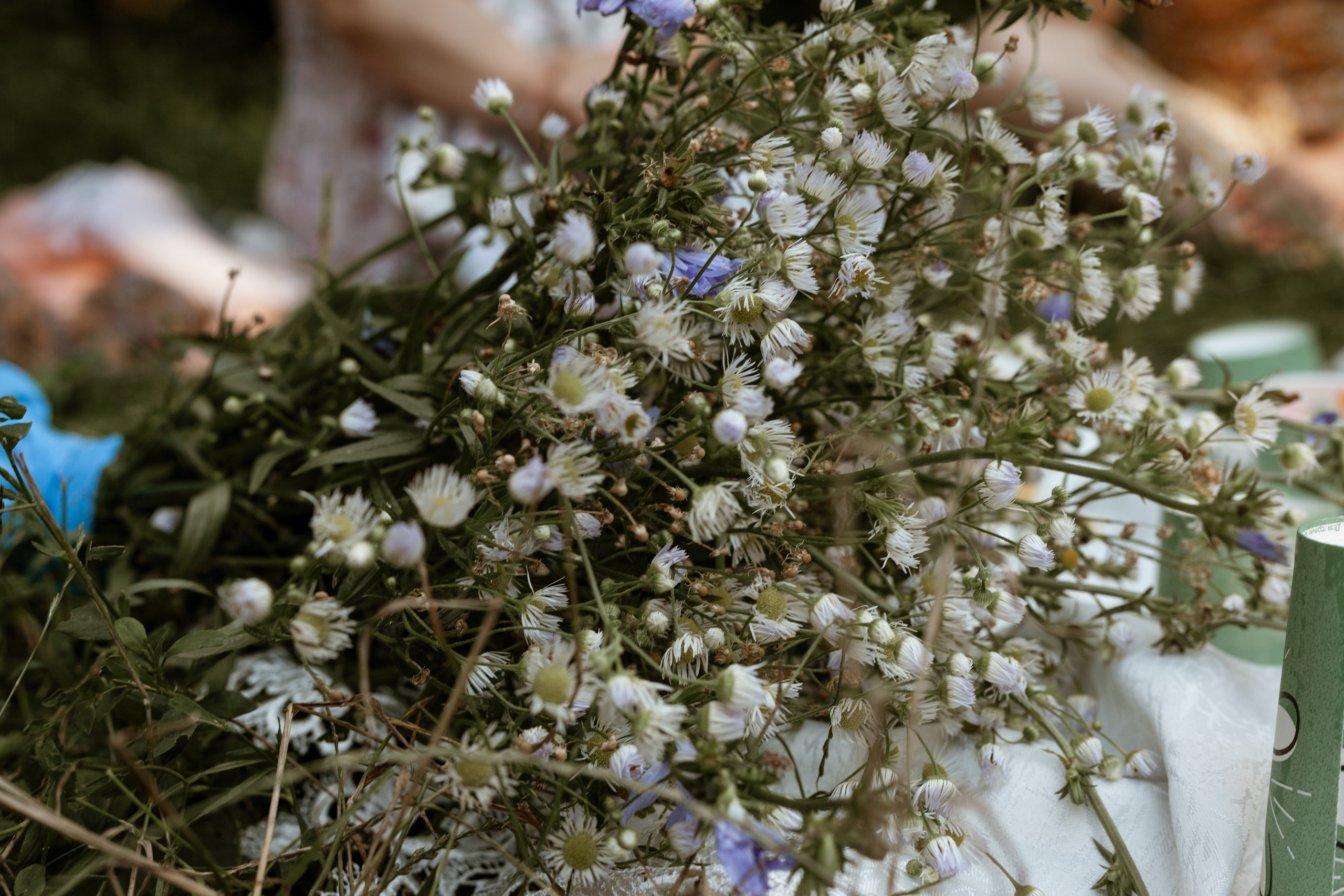 О 30.07.22. Фотограф Старый Оскол Мавлыга Мария