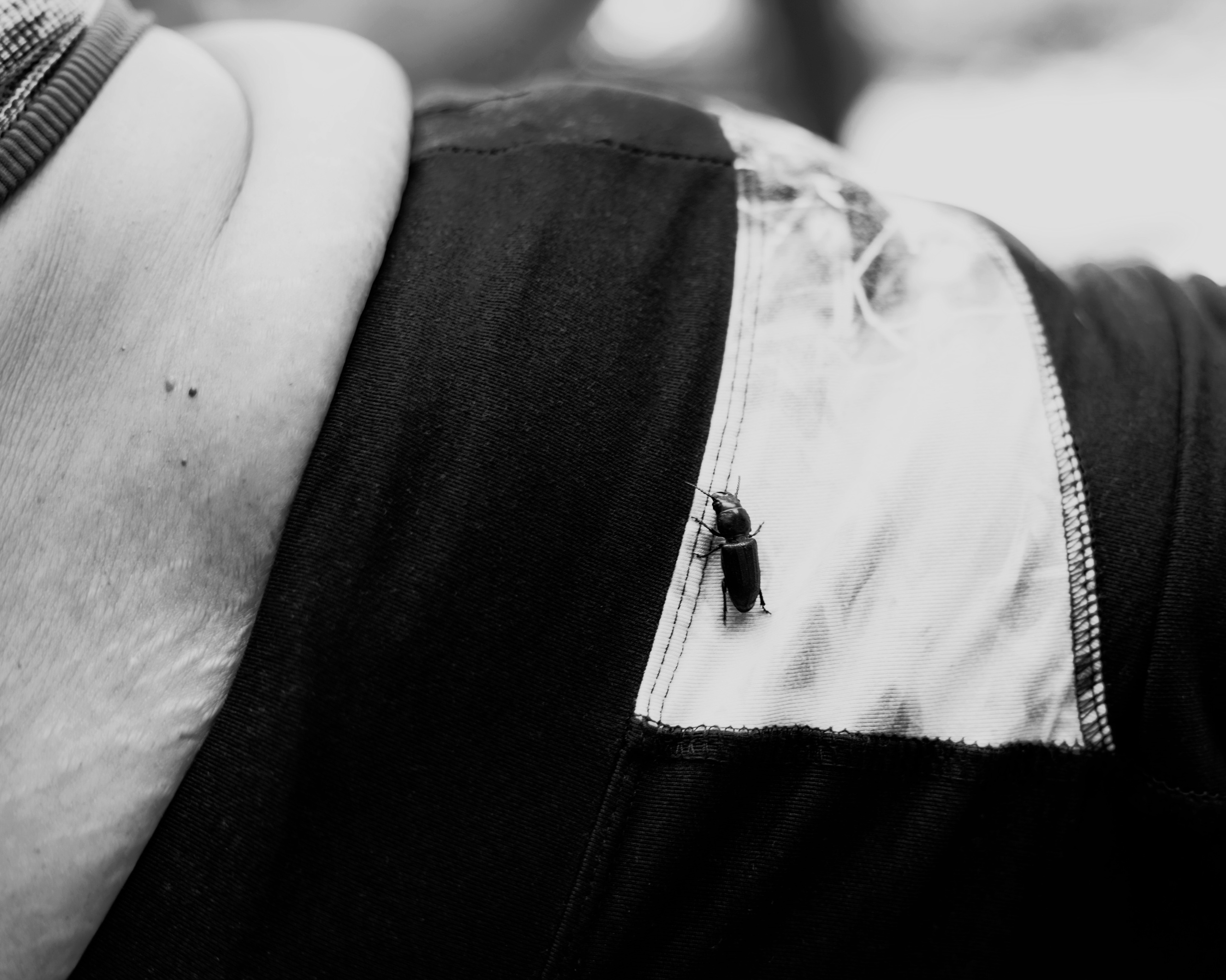 Татьяна Мешкани. Контент-съемка, йога мастер. Фотограф Старый Оскол Мавлыга Мария