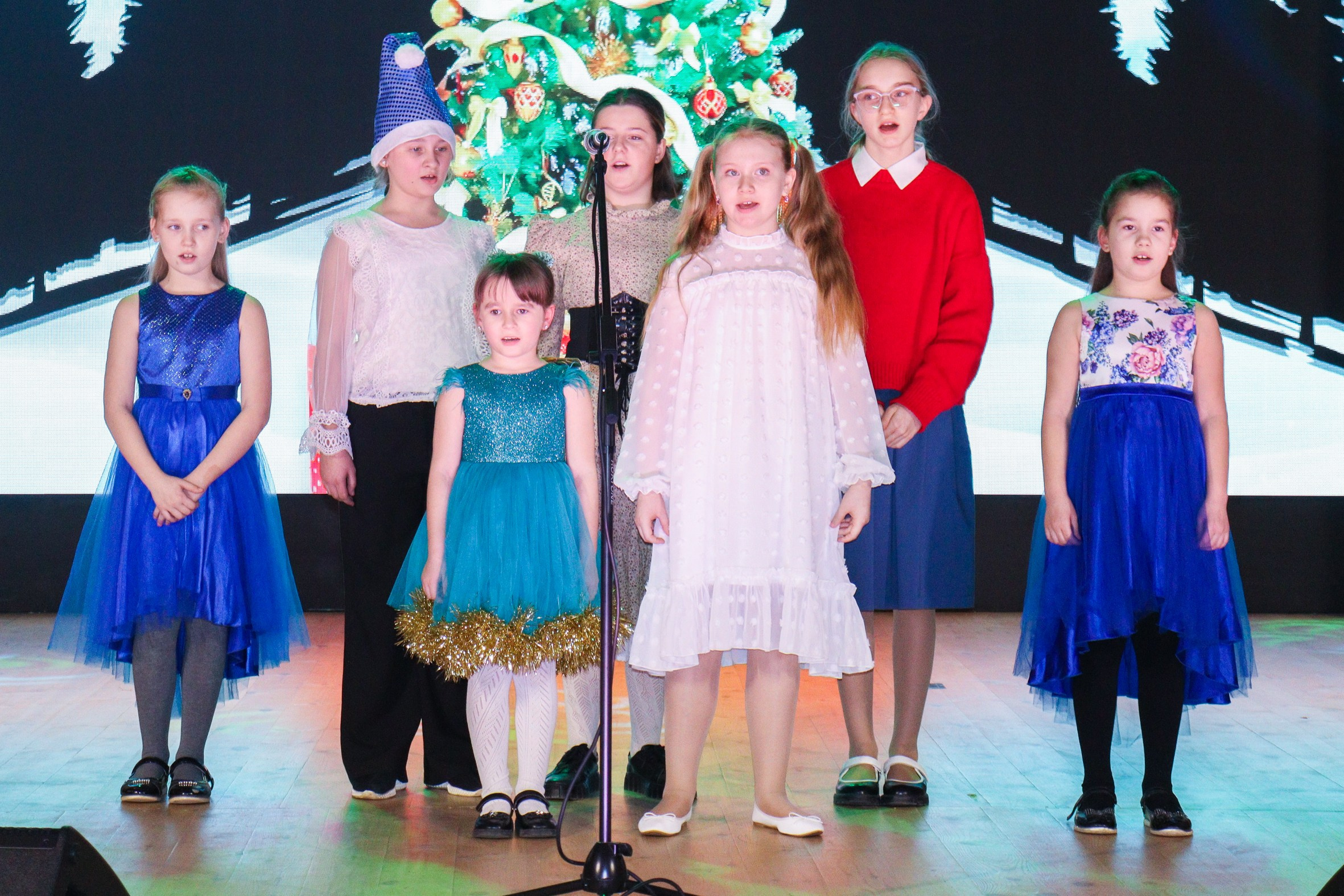 Новогодний концерт Шишли-Мышли