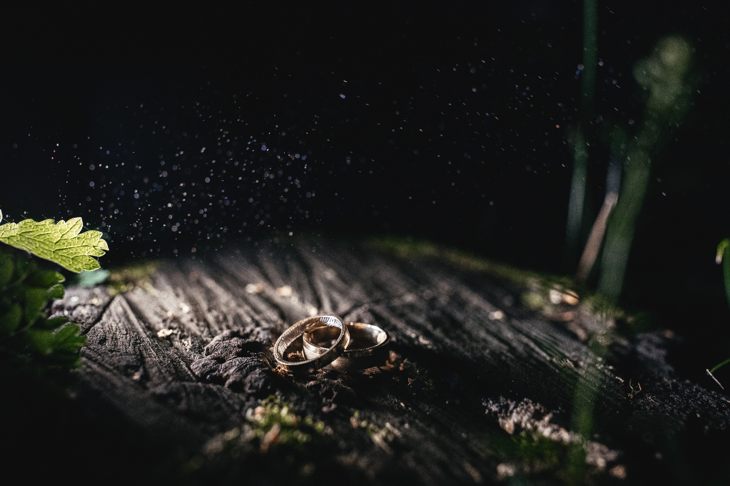 Свадебная фотография. Фотограф Павел Рыжков