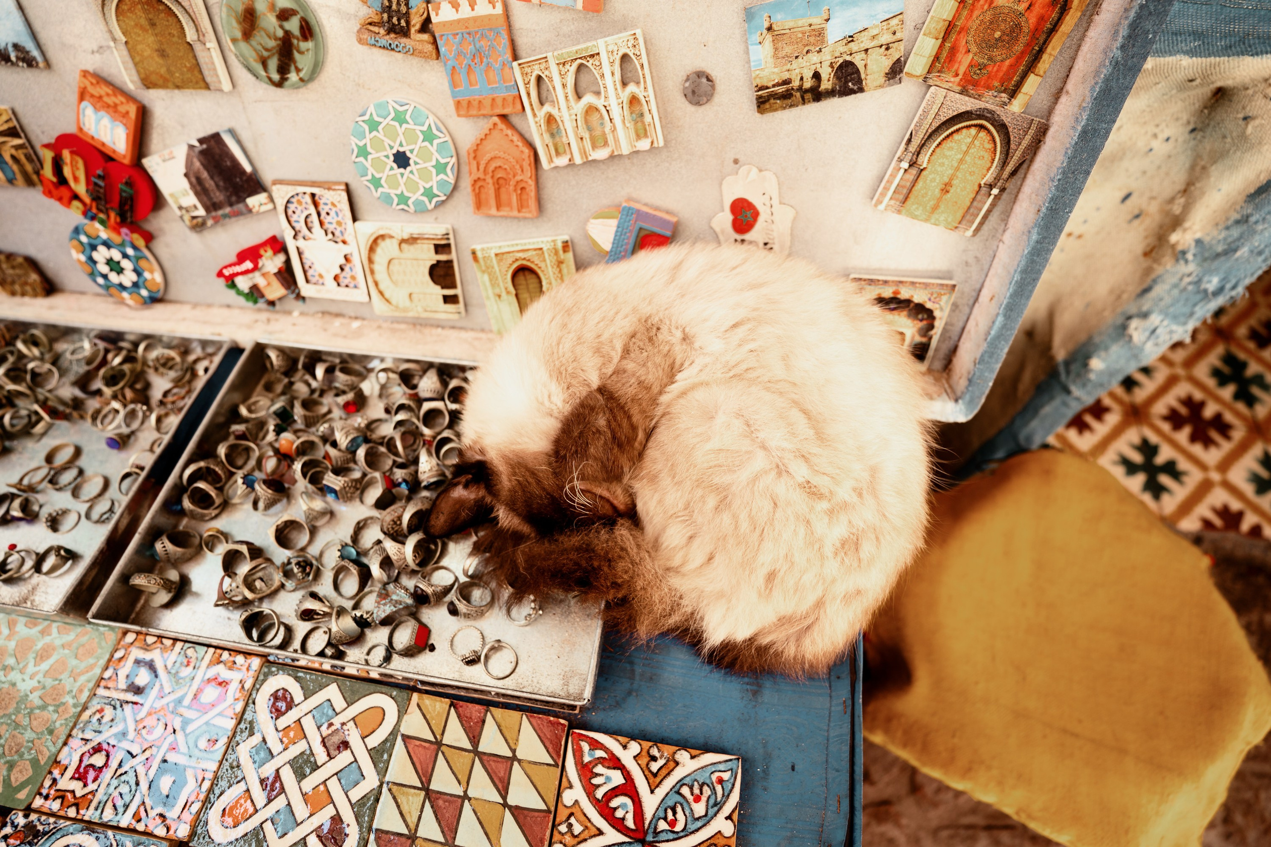 Северная Африка: Тунис, Марокко. Фотограф в Хабаровске. Фотография за 24 часа