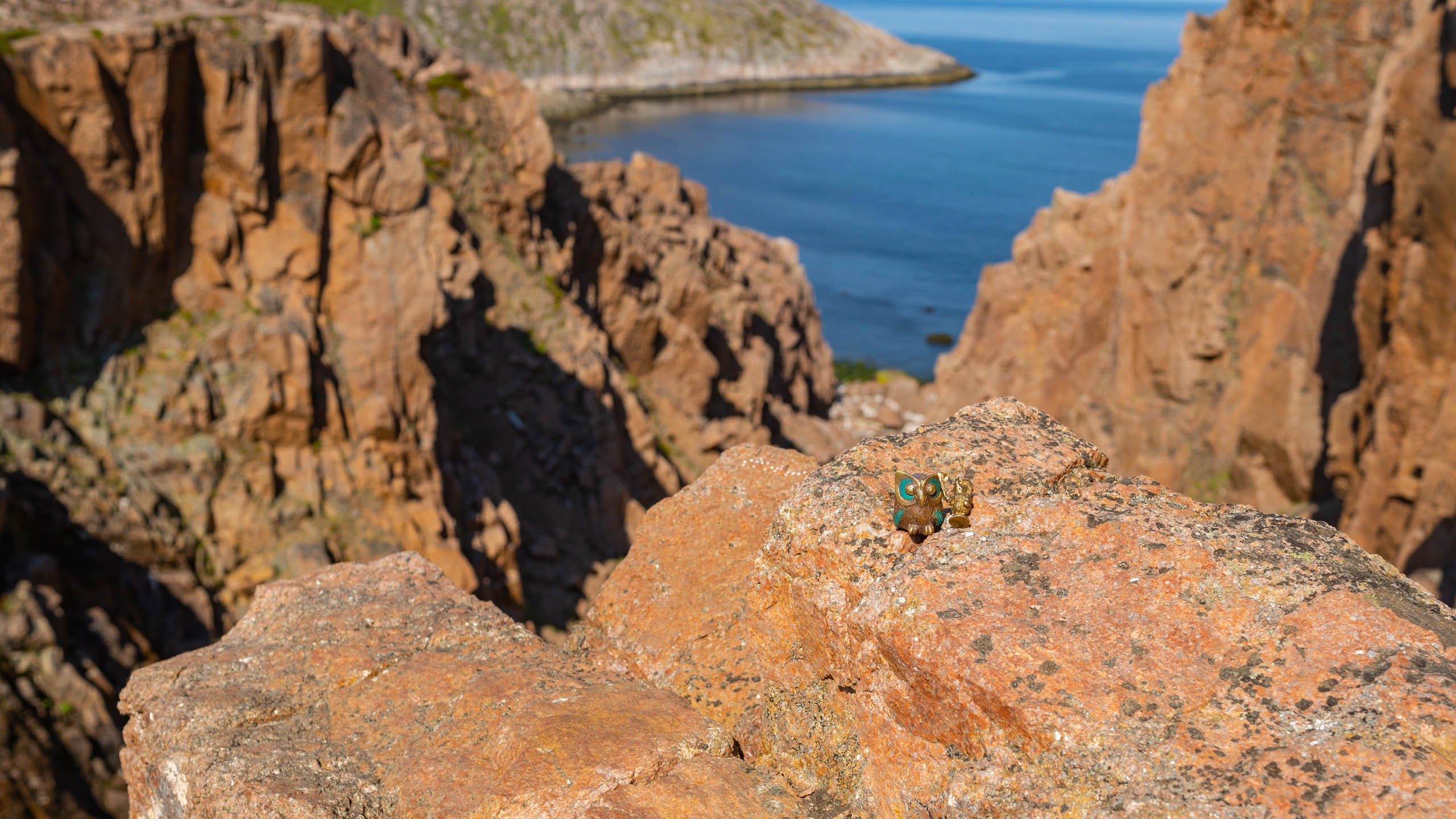 Ёжик и сова. Фотографии