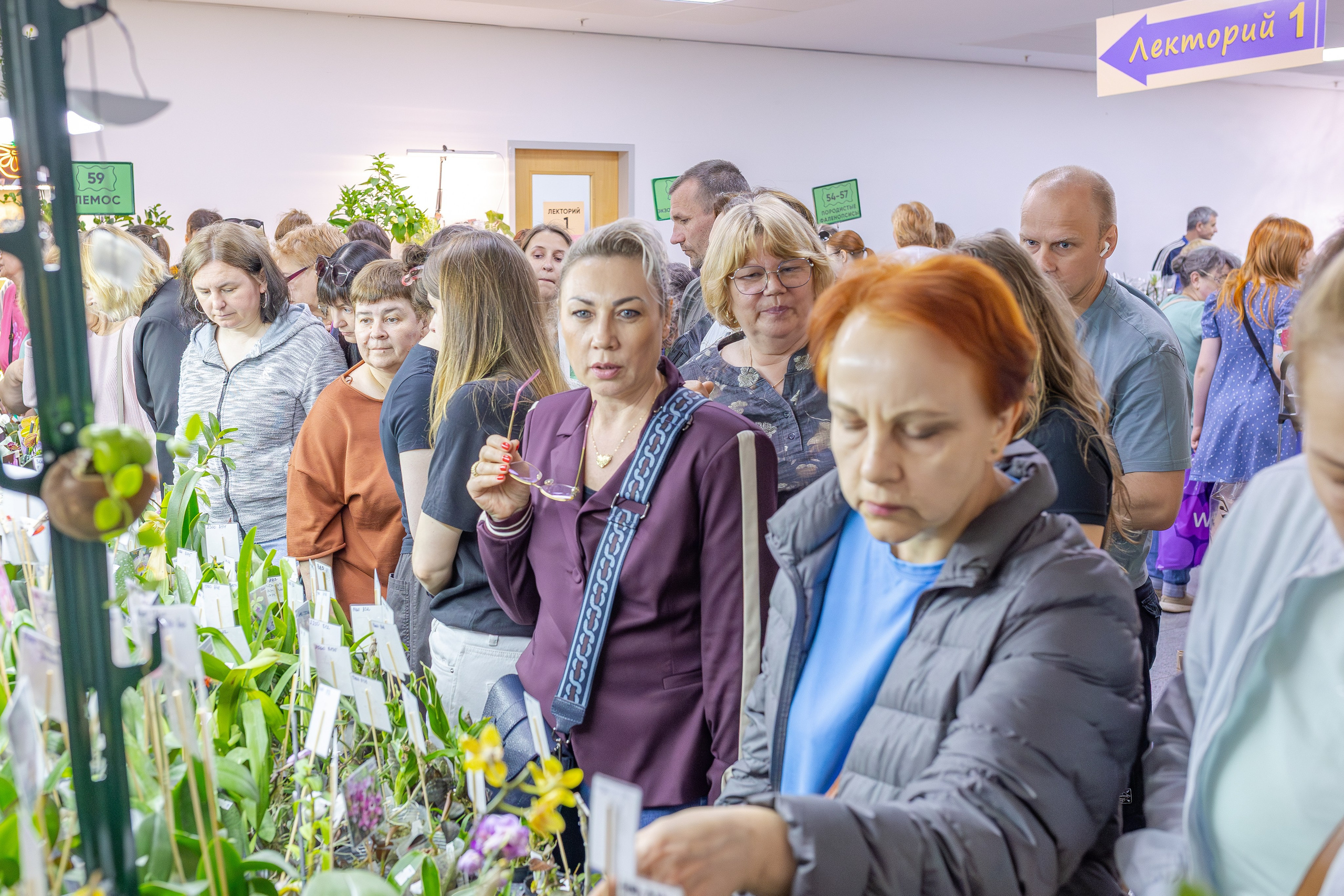 Орхидиум май 2026. Александра Куликова фотограф, Москва
