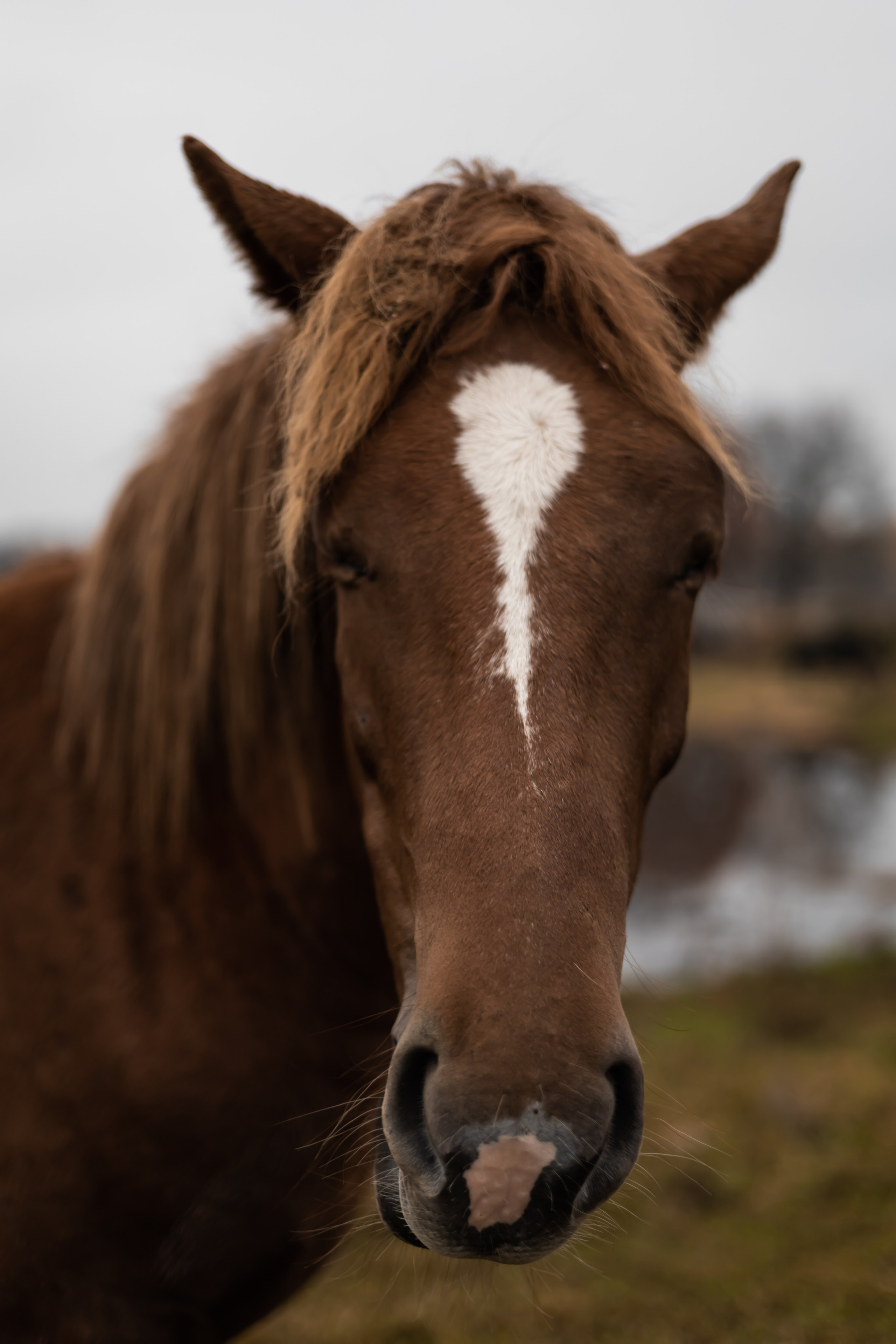 ЭДУАРД+КРИСТИНА. Фотограф Элла Ефимова