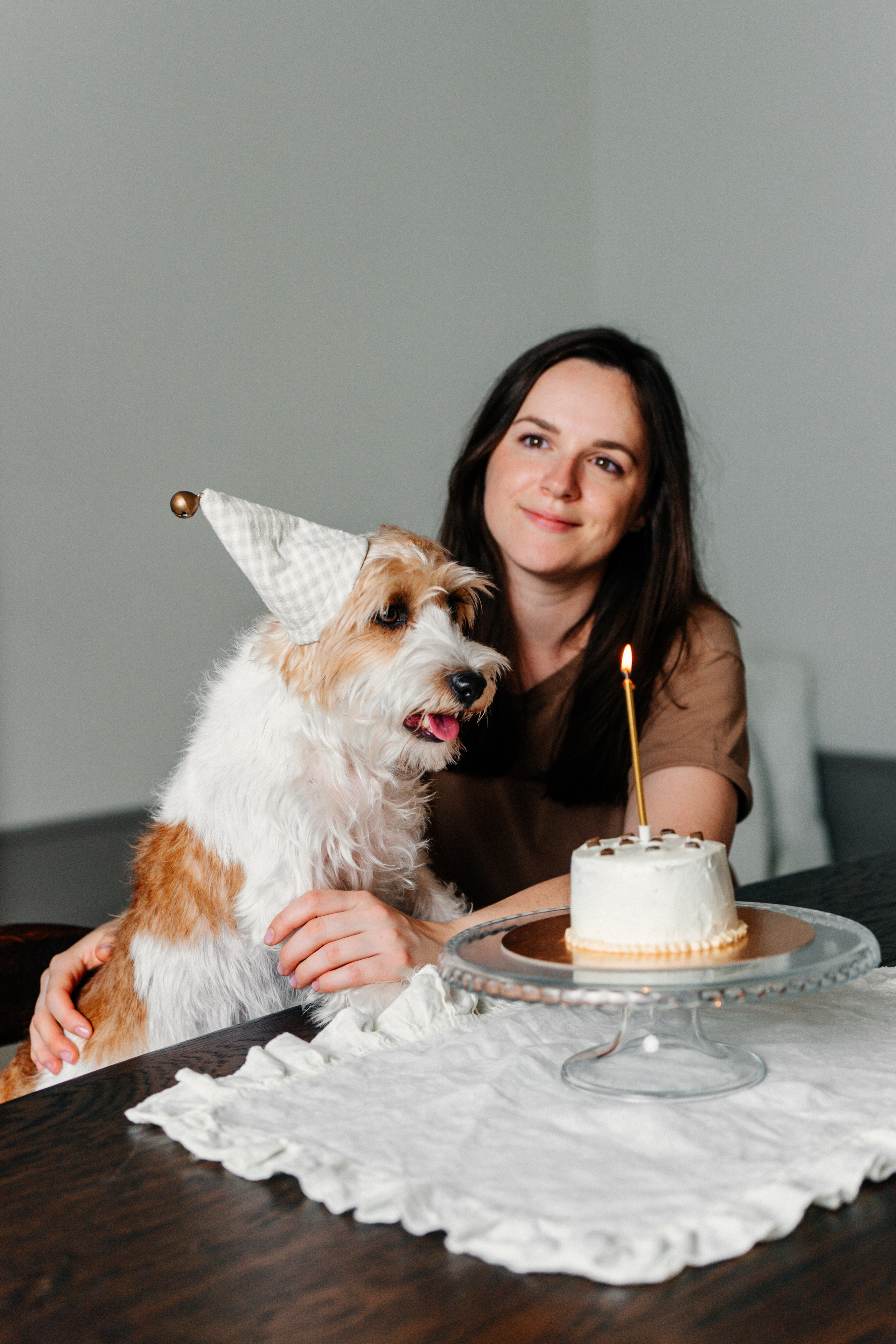 Красота хвостатых глазами хозяйки. Ваш семейный фотограф в Минске — Вика Трегубова