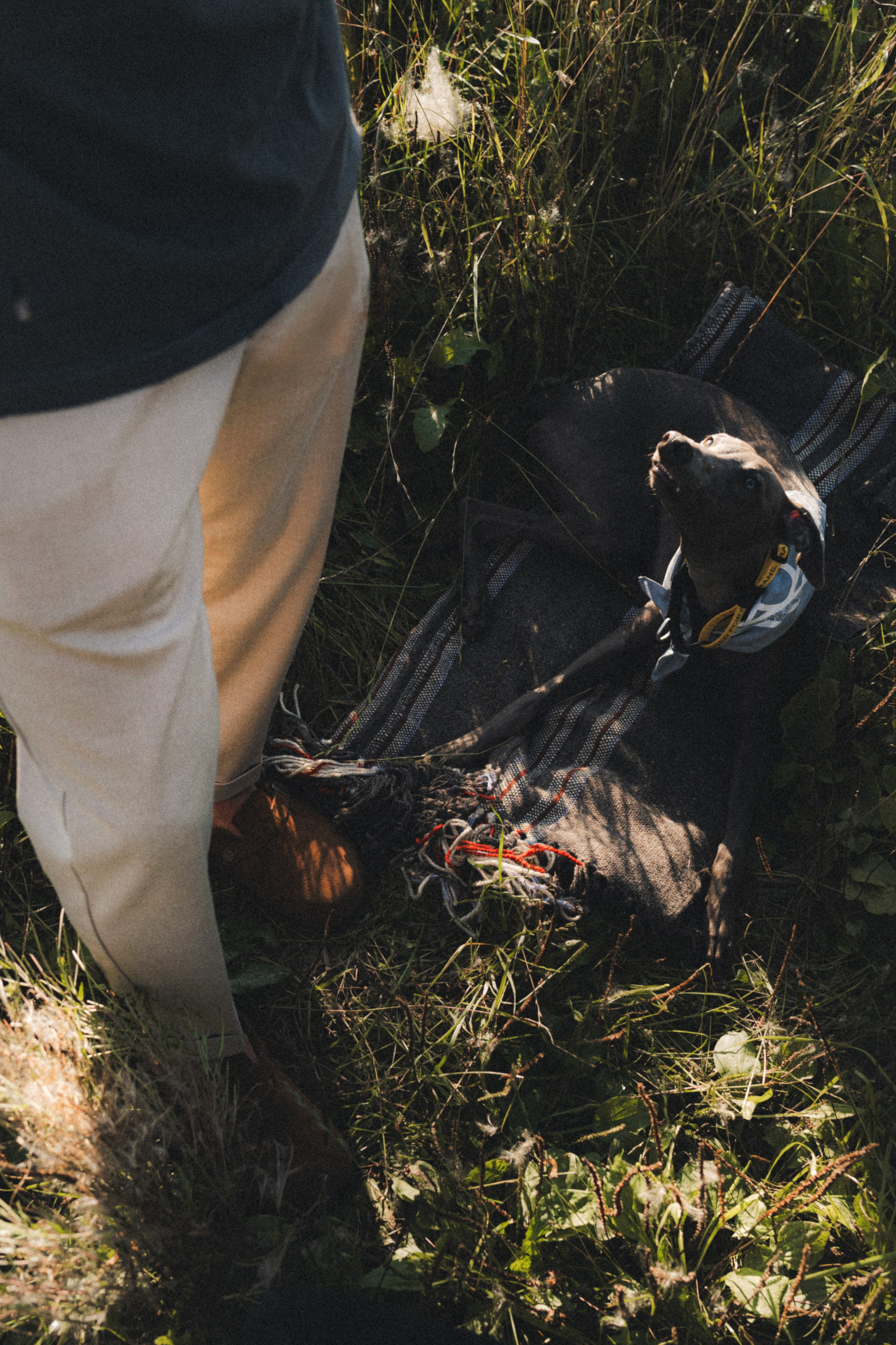 Фотограф Илья К. в Москве