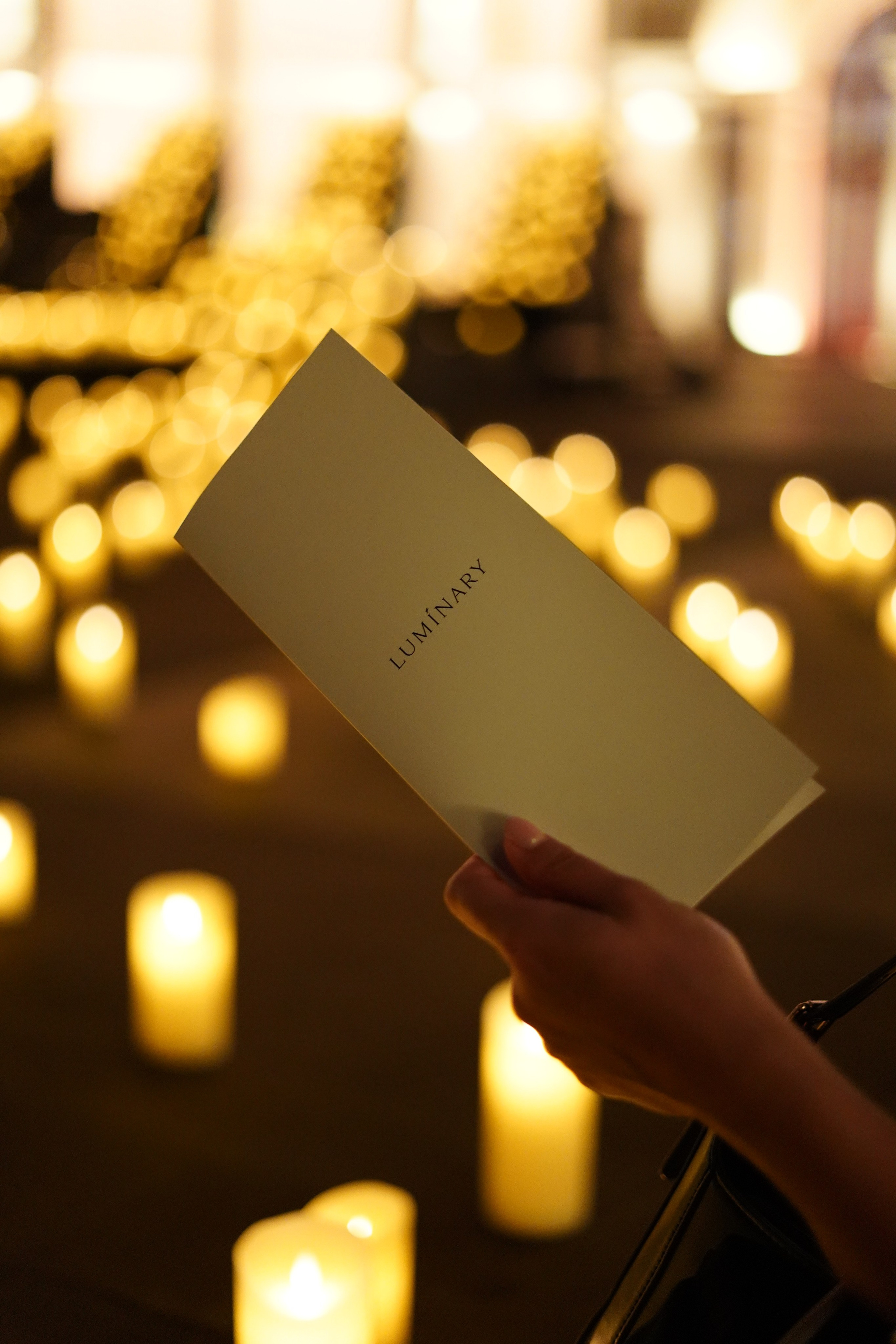 Luminary. Фотограф Гвоздева Варвара / Москва