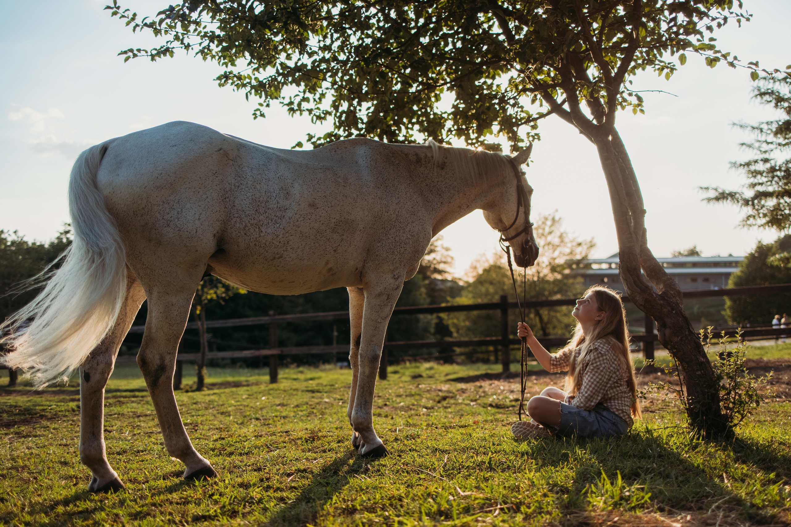 Ферма Экзархо. Фотограф Сочи Татьяна Зорина