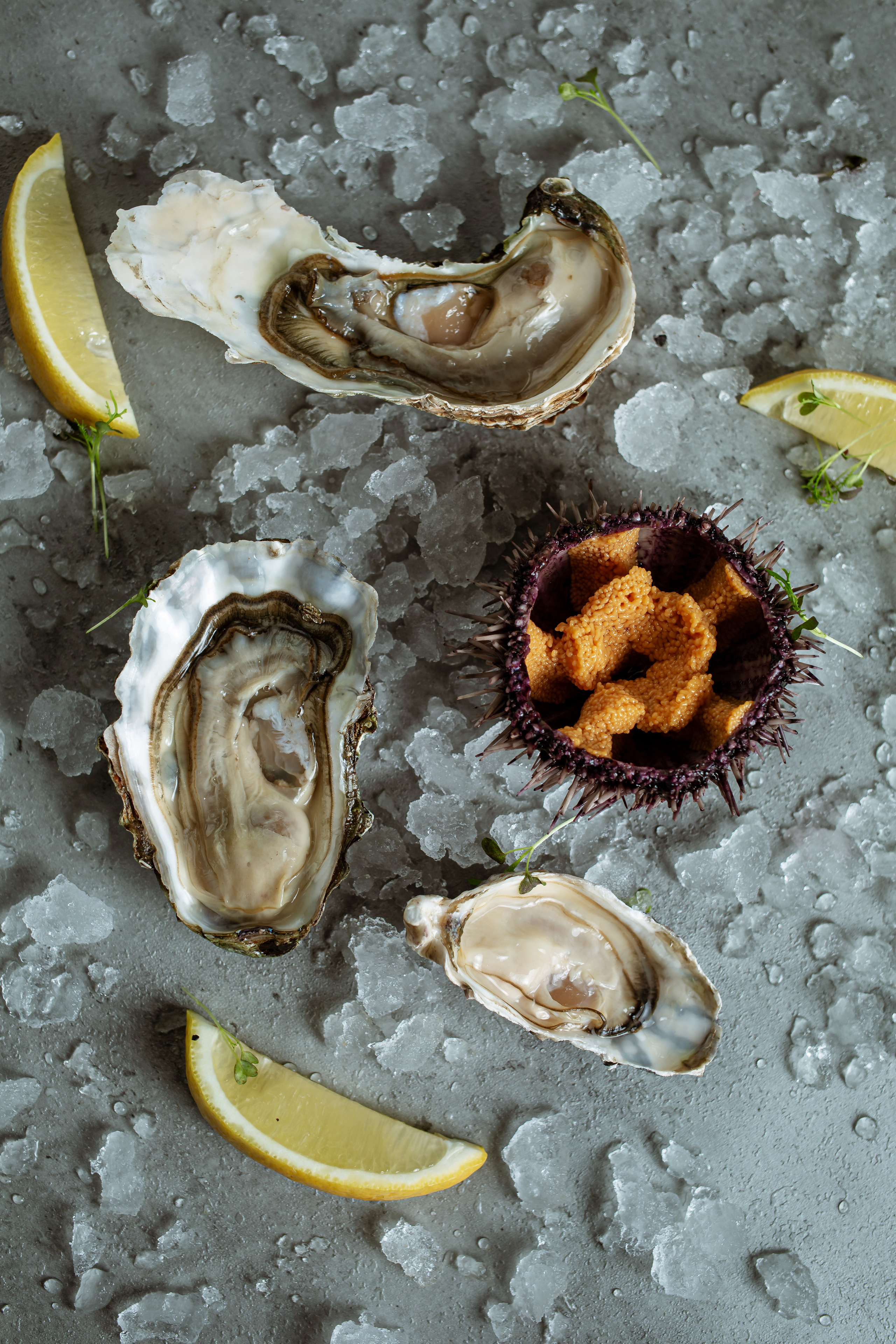 Фотограф Москва — найти фотографа в Москве для съемки в ресторан