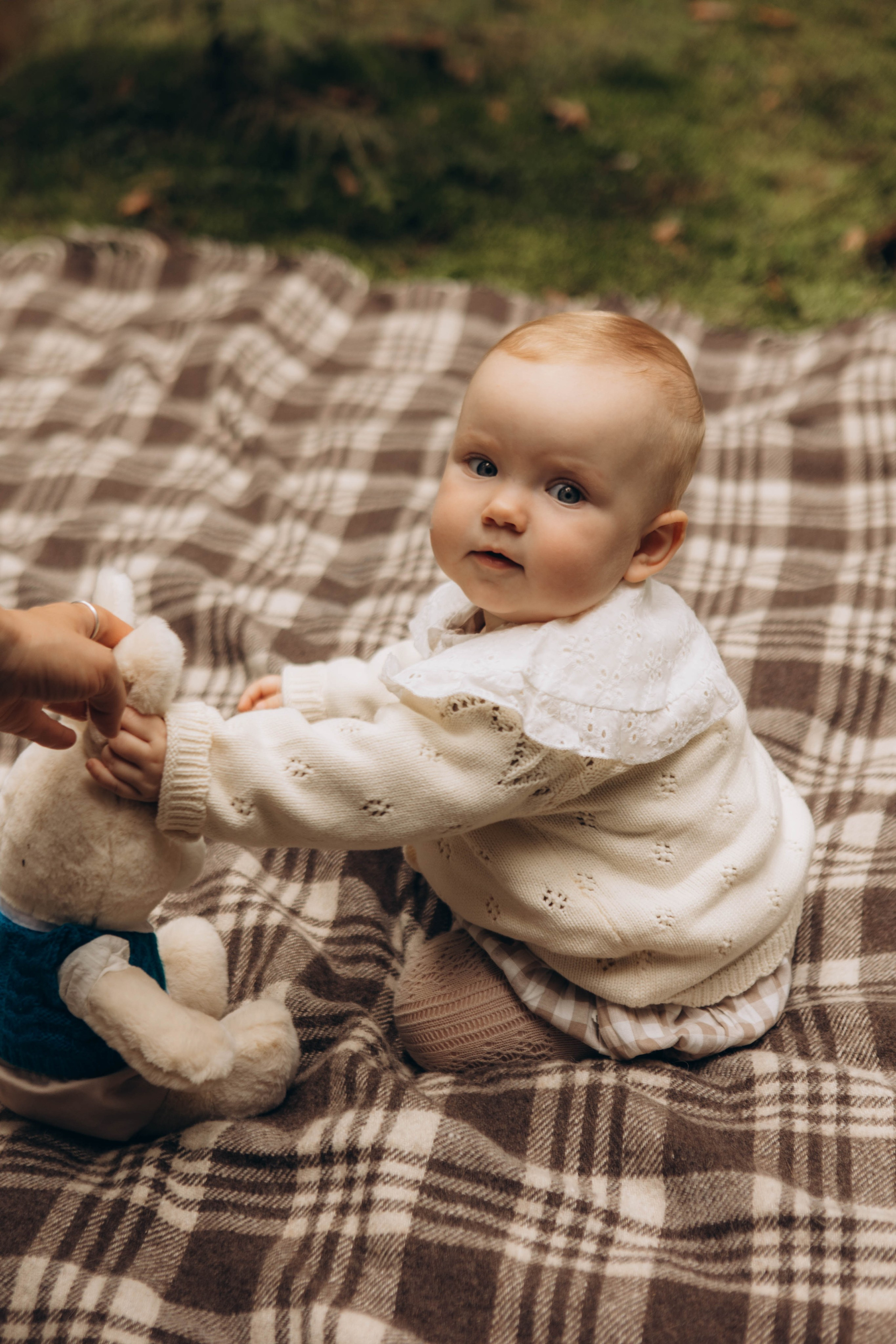 Лесная история. Наталья Косьянова. Ваш фотограф. Москва
