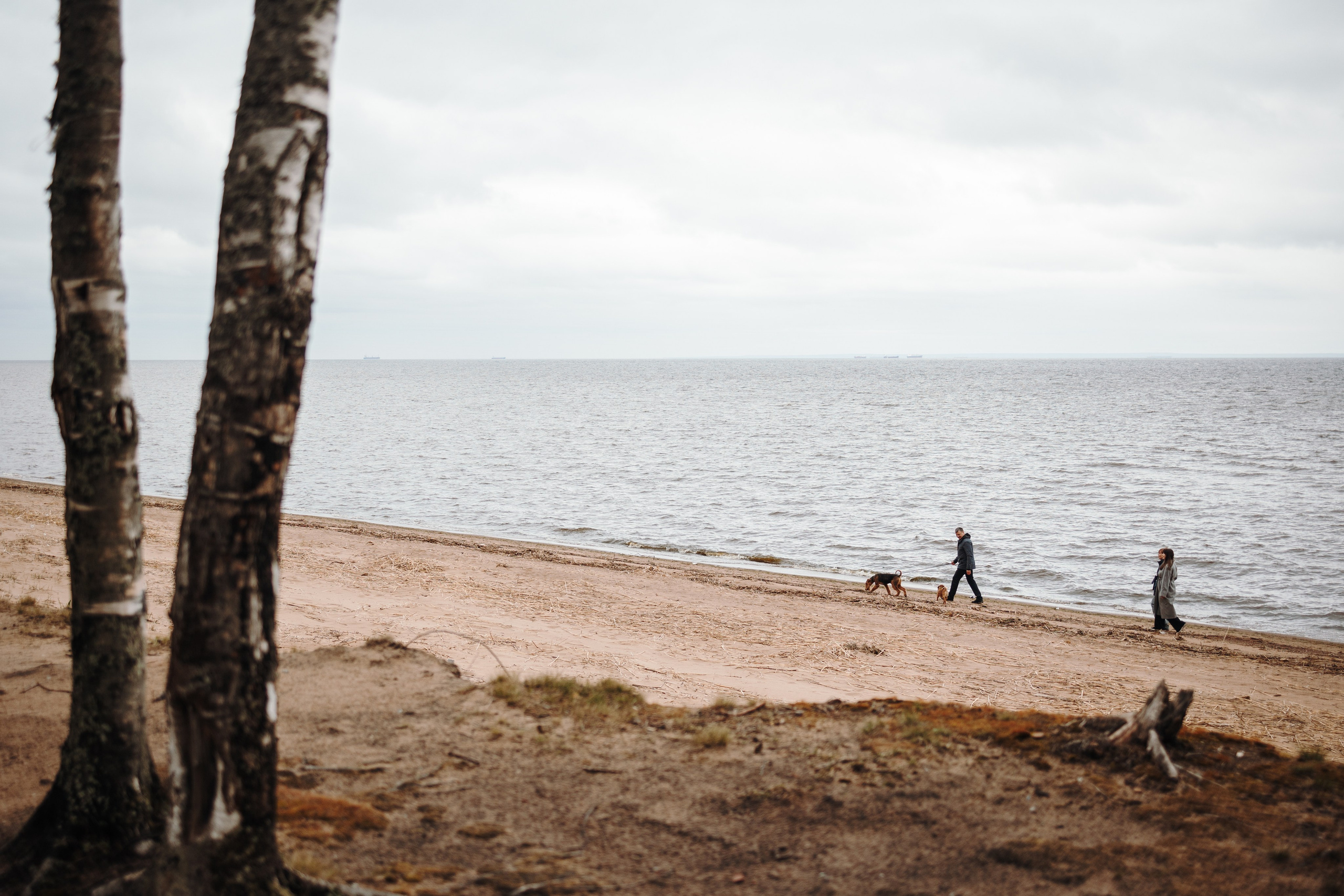 Вера и ее семья. Фотограф — Анималист | Санкт-Петербург