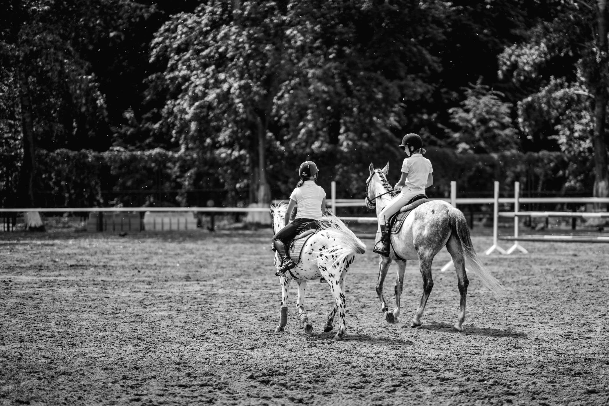 Съемка с животными. Фотограф в Москве Анастасия Бабкина
