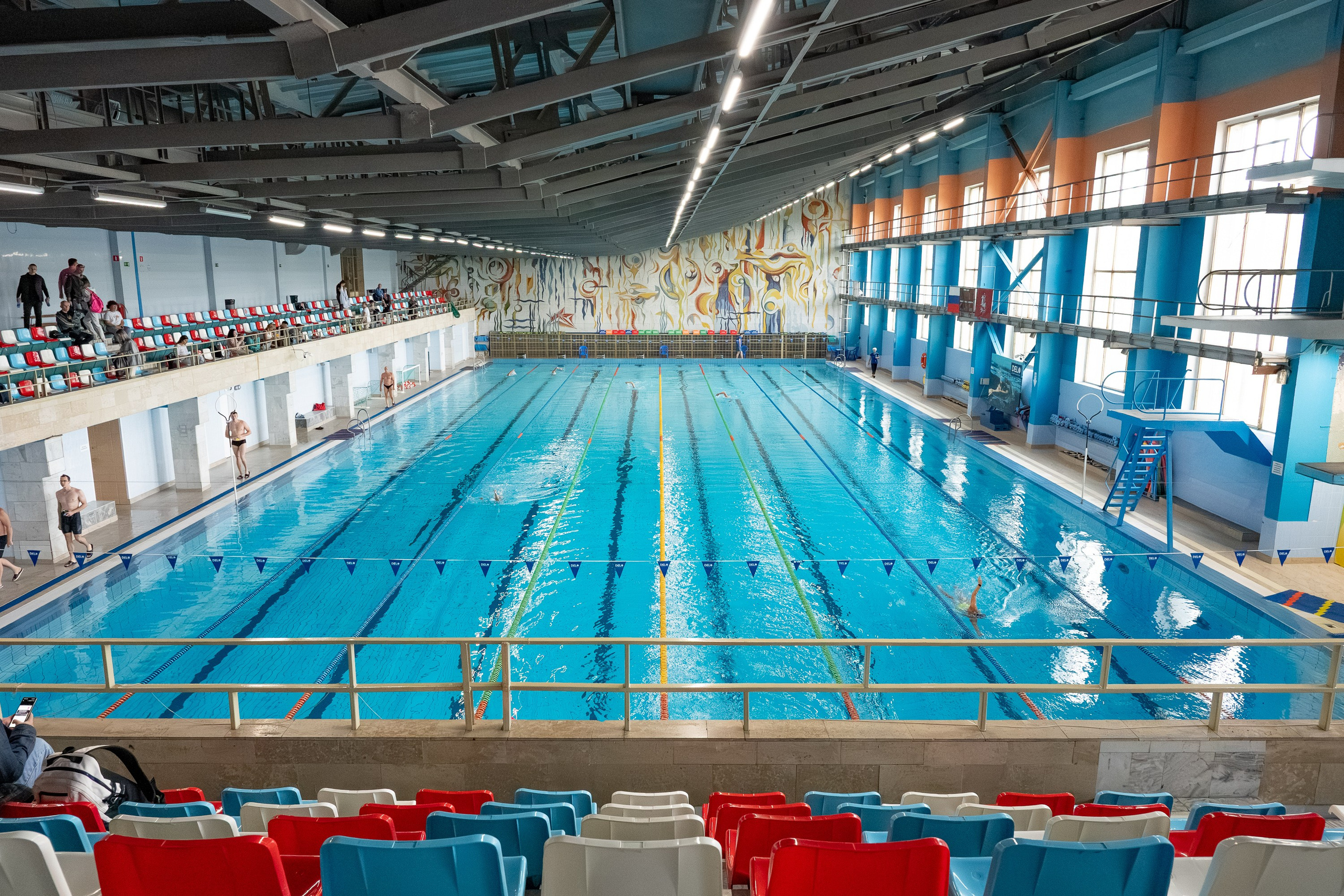 АРКС 2025 Плавание. Фотограф Киселев Егор