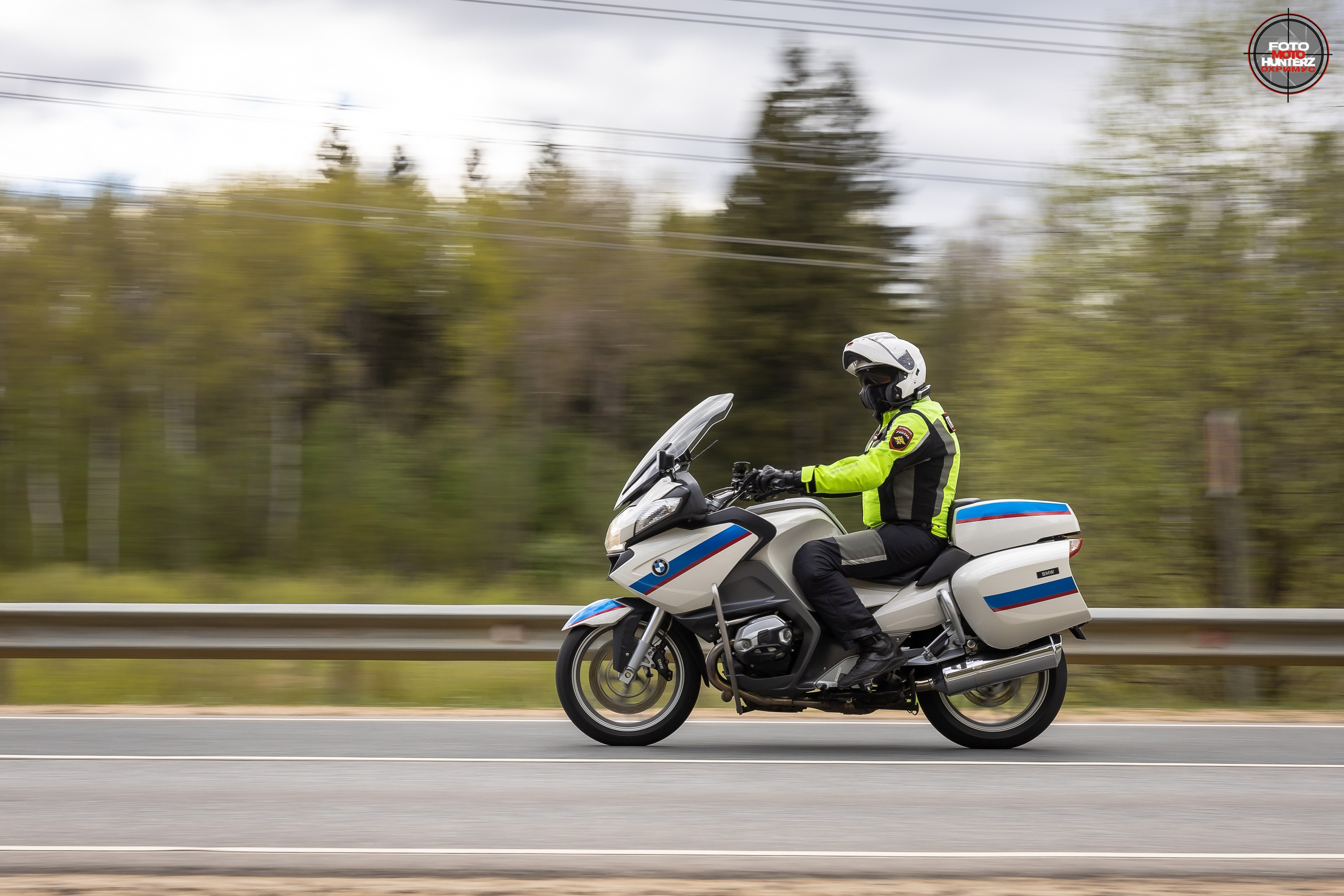Первое Сафари в 2025 г. на Рогачевском ш. Фотограф Владимир Охрименко