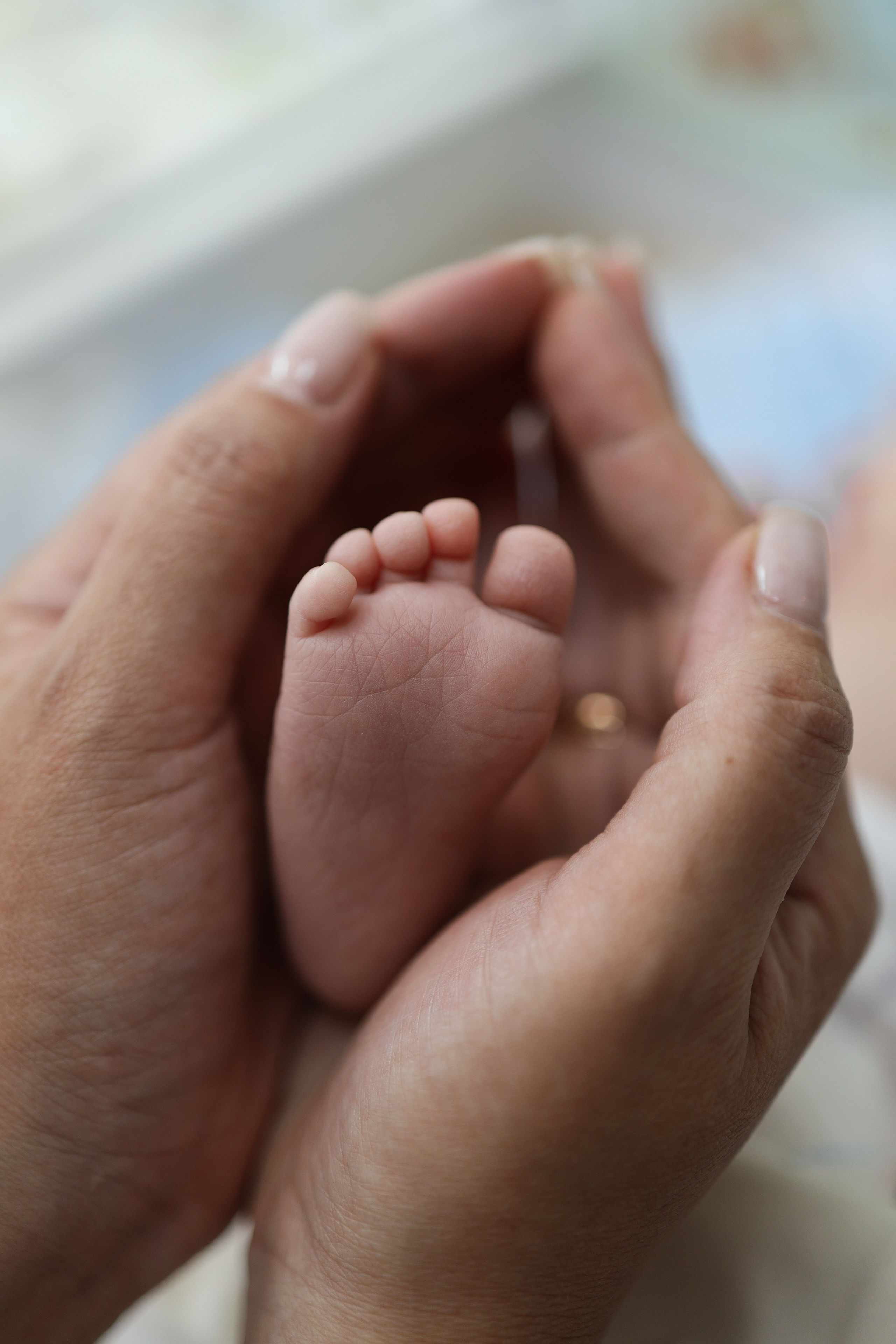 Выписка из род. дома. Майорова Валерия Фотограф Ставрополь