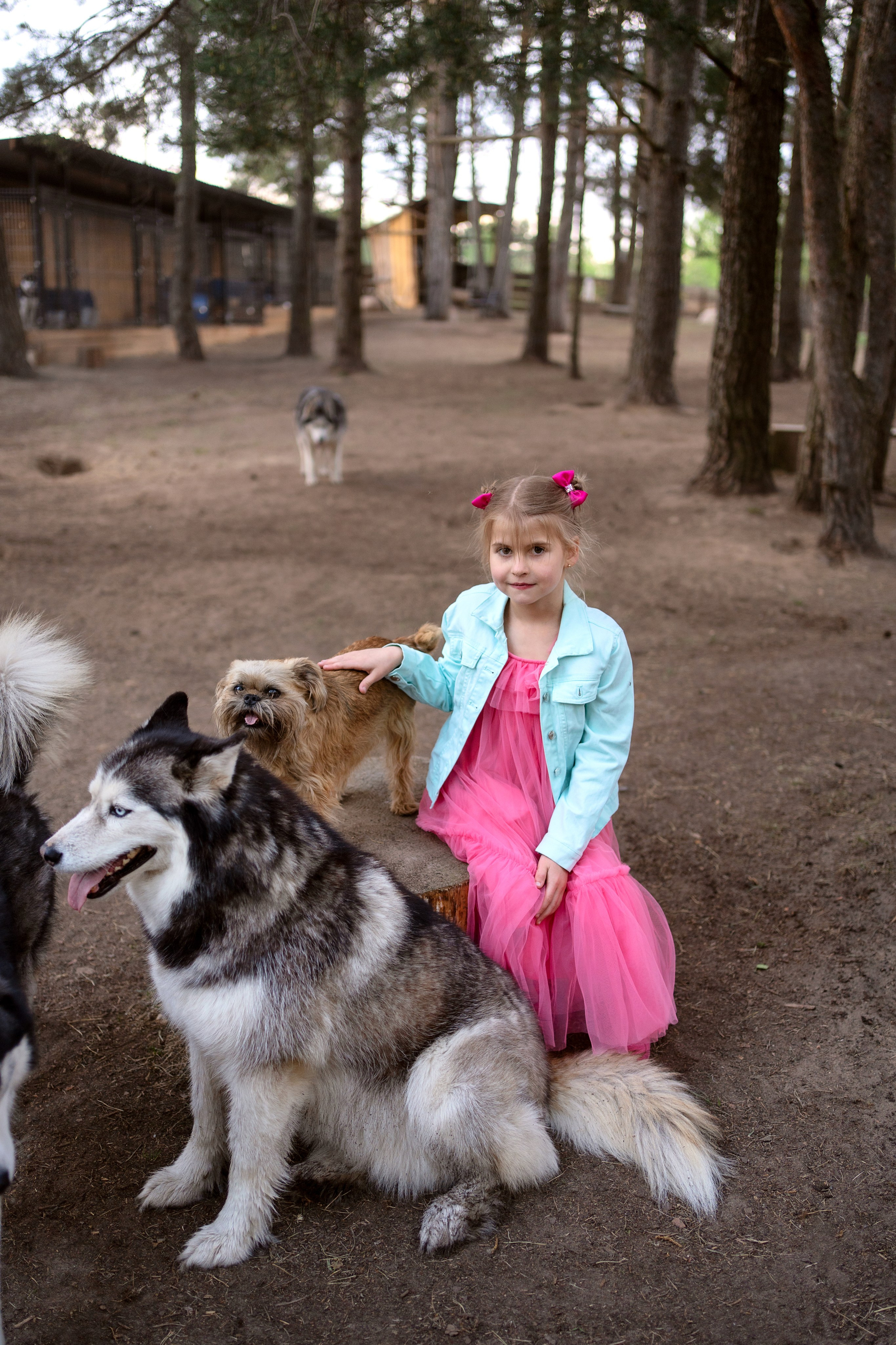 Хаски парк. Семейный и свадебный фотограф Минск, Беларусь Анна Орловская