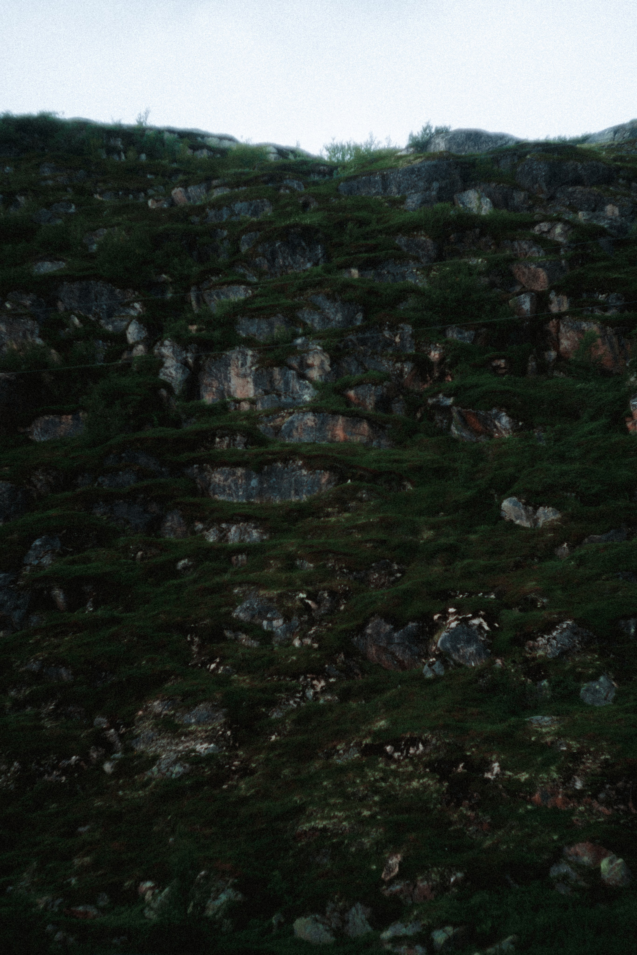 Териберка, Мурманск. Фотосъёмка для компании по организации туров в коллаборации с Яндекс 360