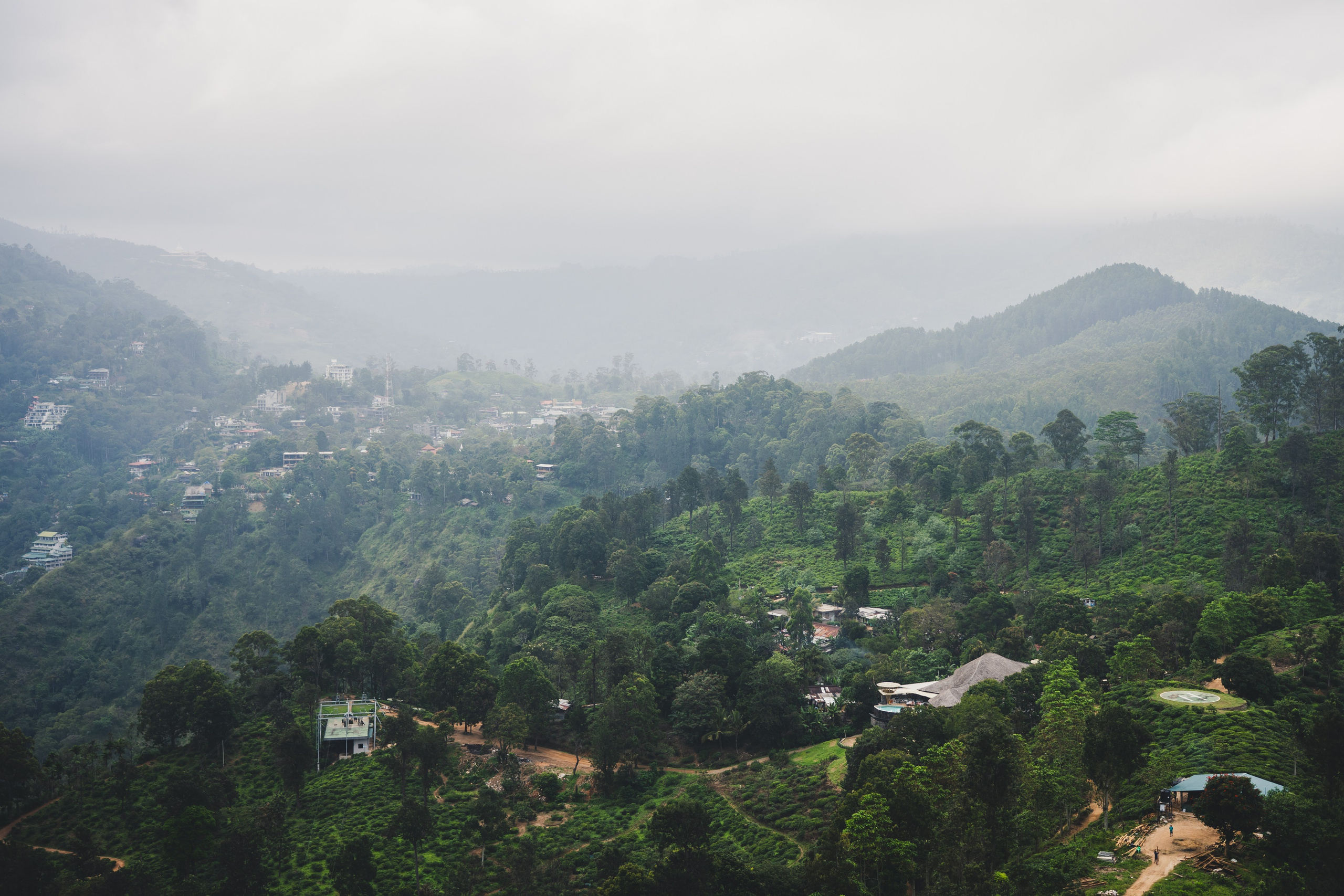 Шри-Ланка 2025. Легкая фотография