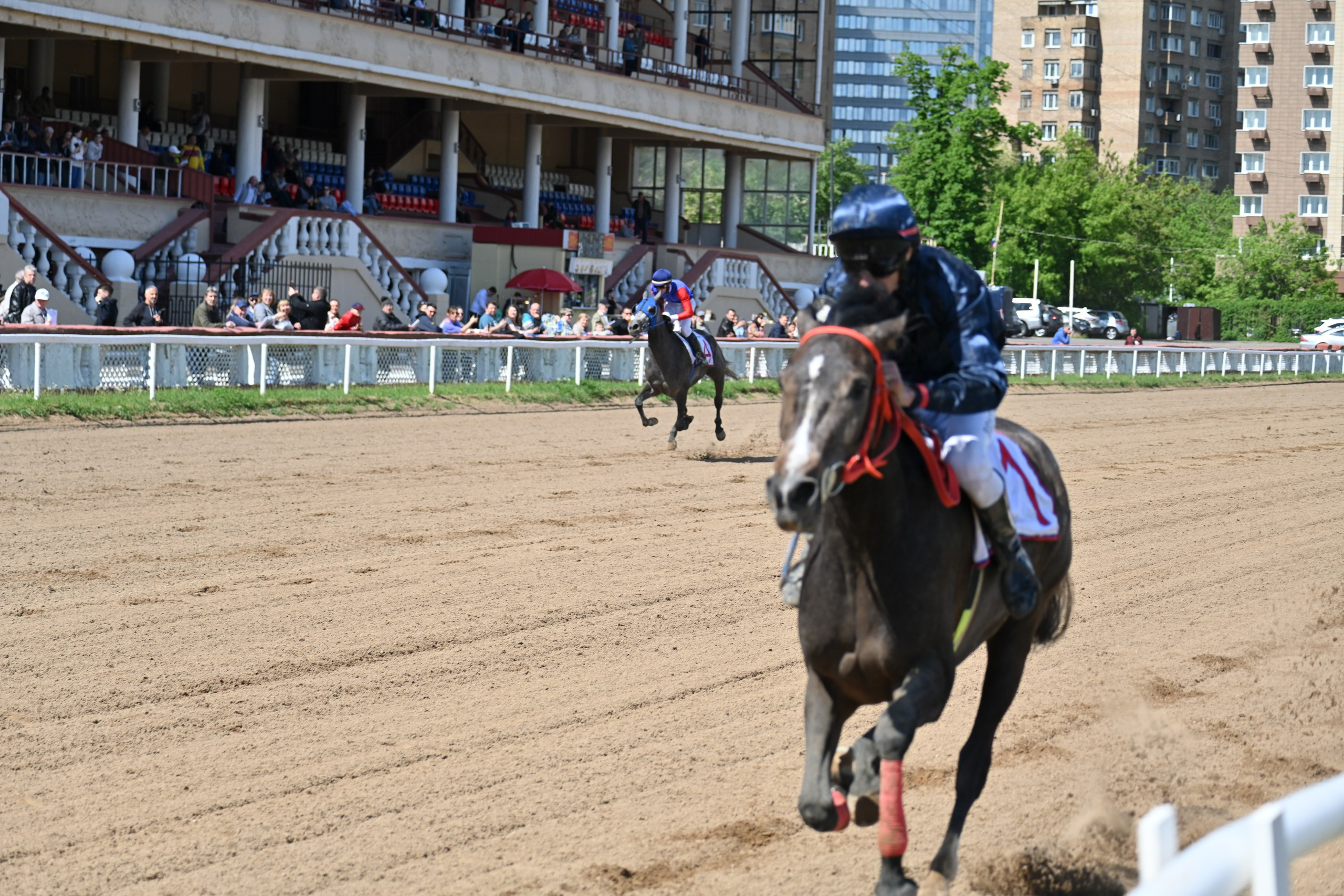 Ипподром (Москва). Fotolux