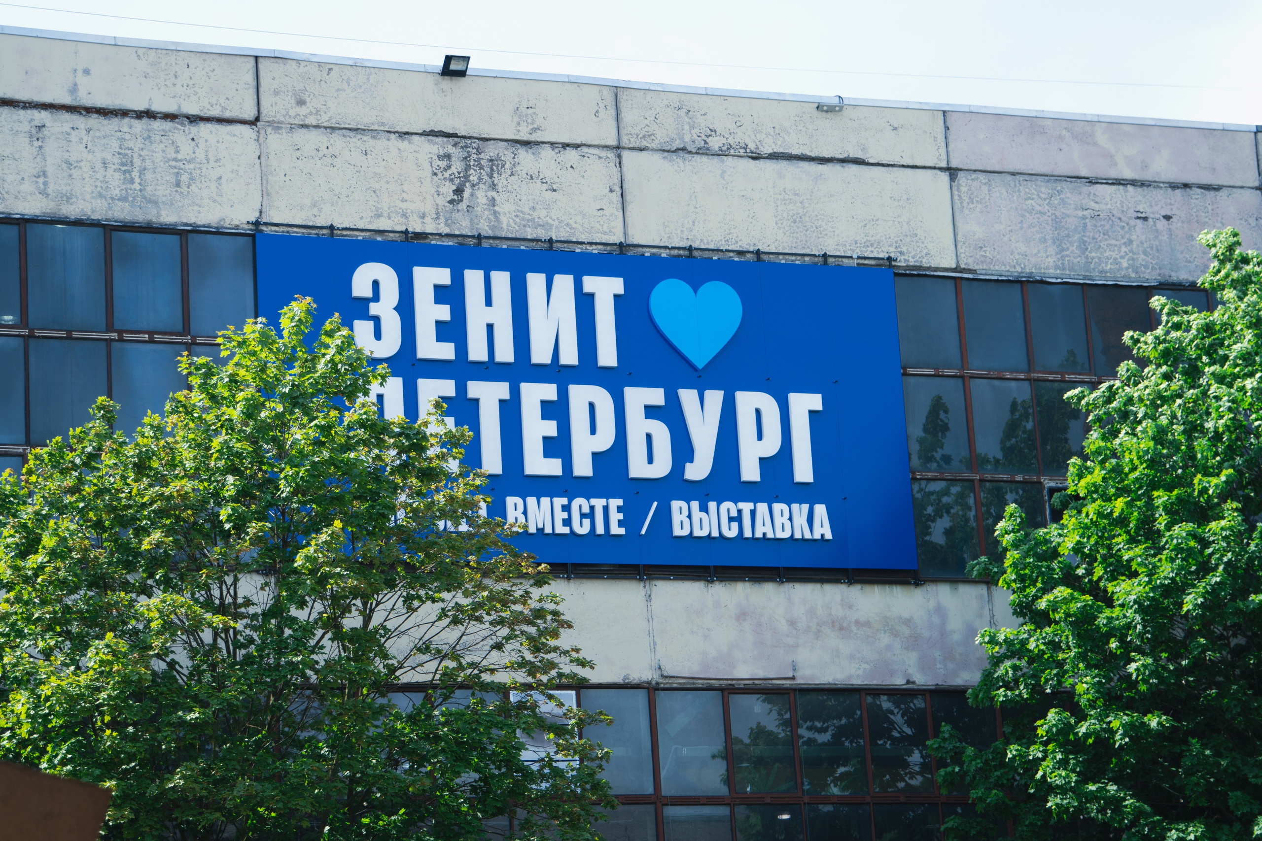 Выставка Зенит. Видеограф, фотограф в Санкт-Петербурге Элеонора Петрова