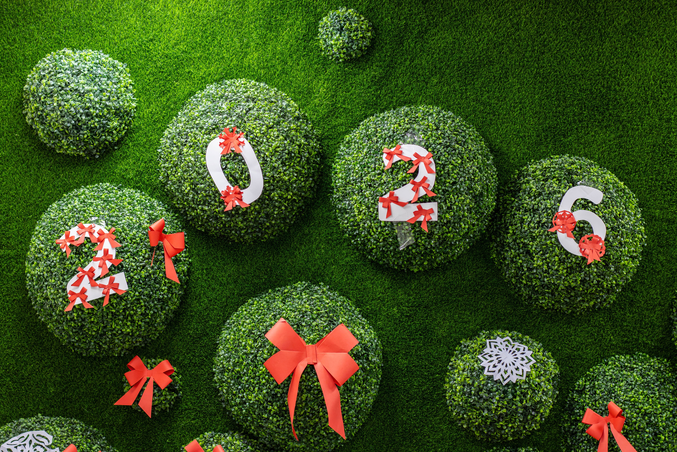 ОПИШелые ручки. Репортажный фотограф во Владивостоке Анастасия Кострова