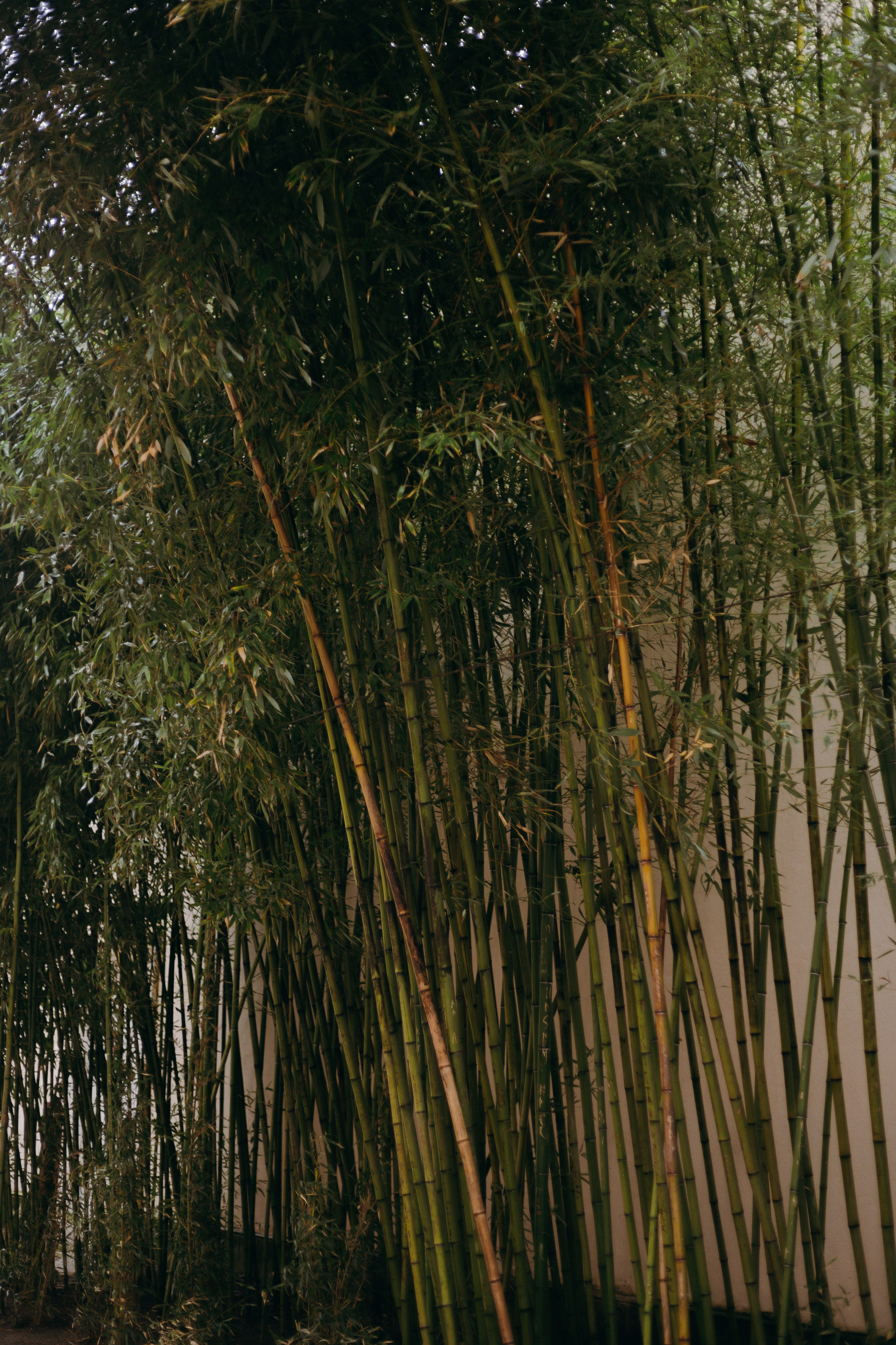 Стамбул. Профессиональный Фотограф во Владимире, в Москве и в Суздале — Полина Романычева