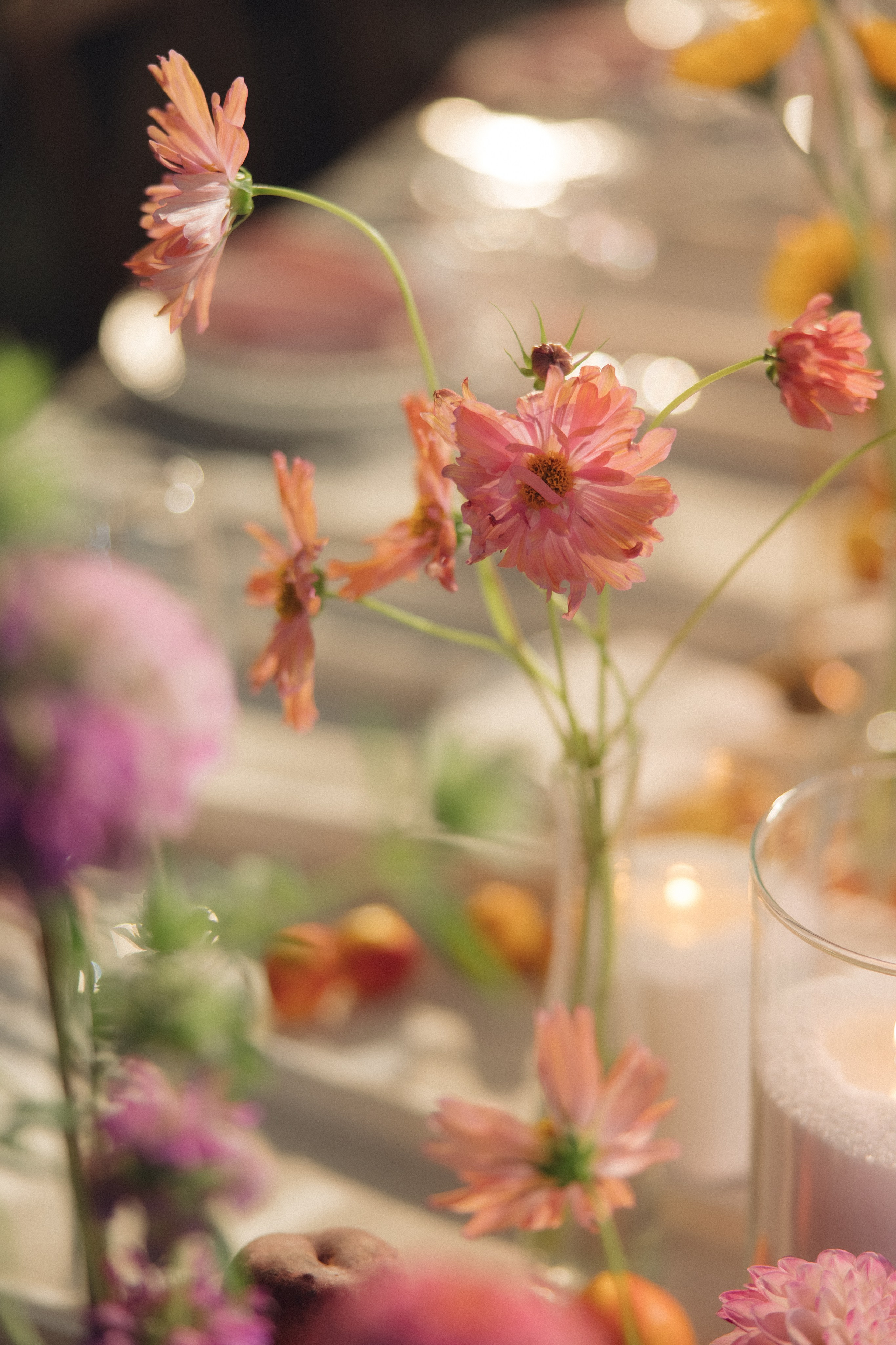 Зилия и Андрей, яркая церемония. Фотограф любви в городе Казань