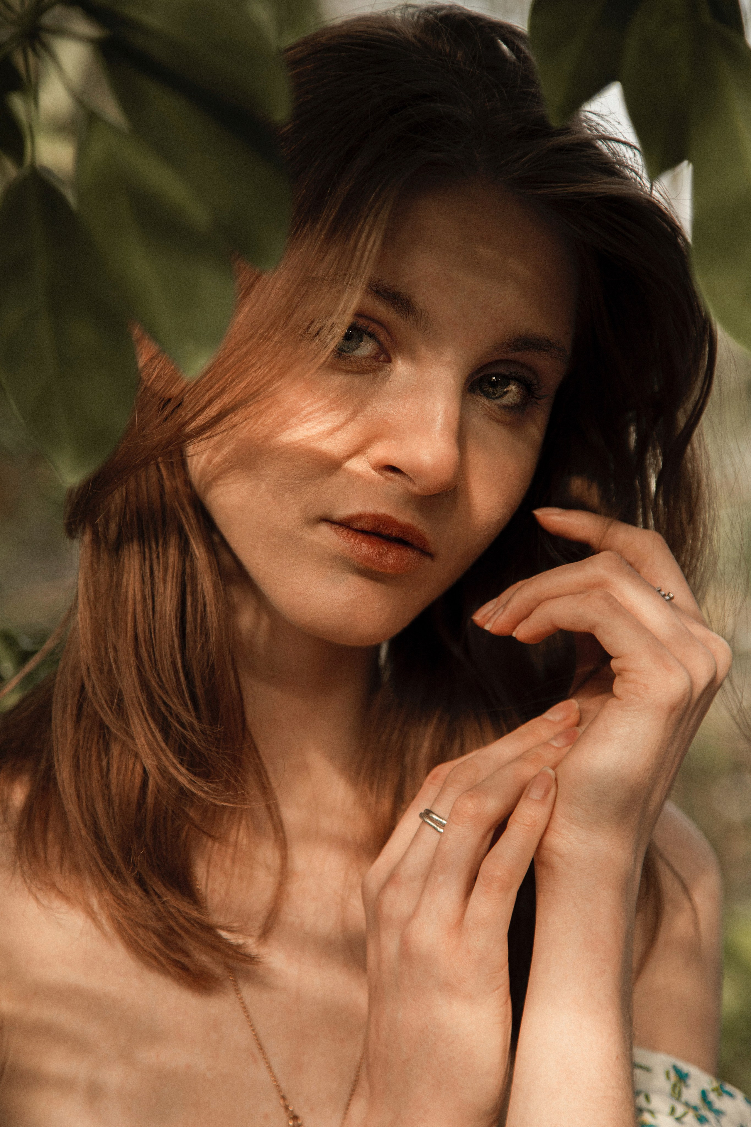 Оранжерея Таврического сада