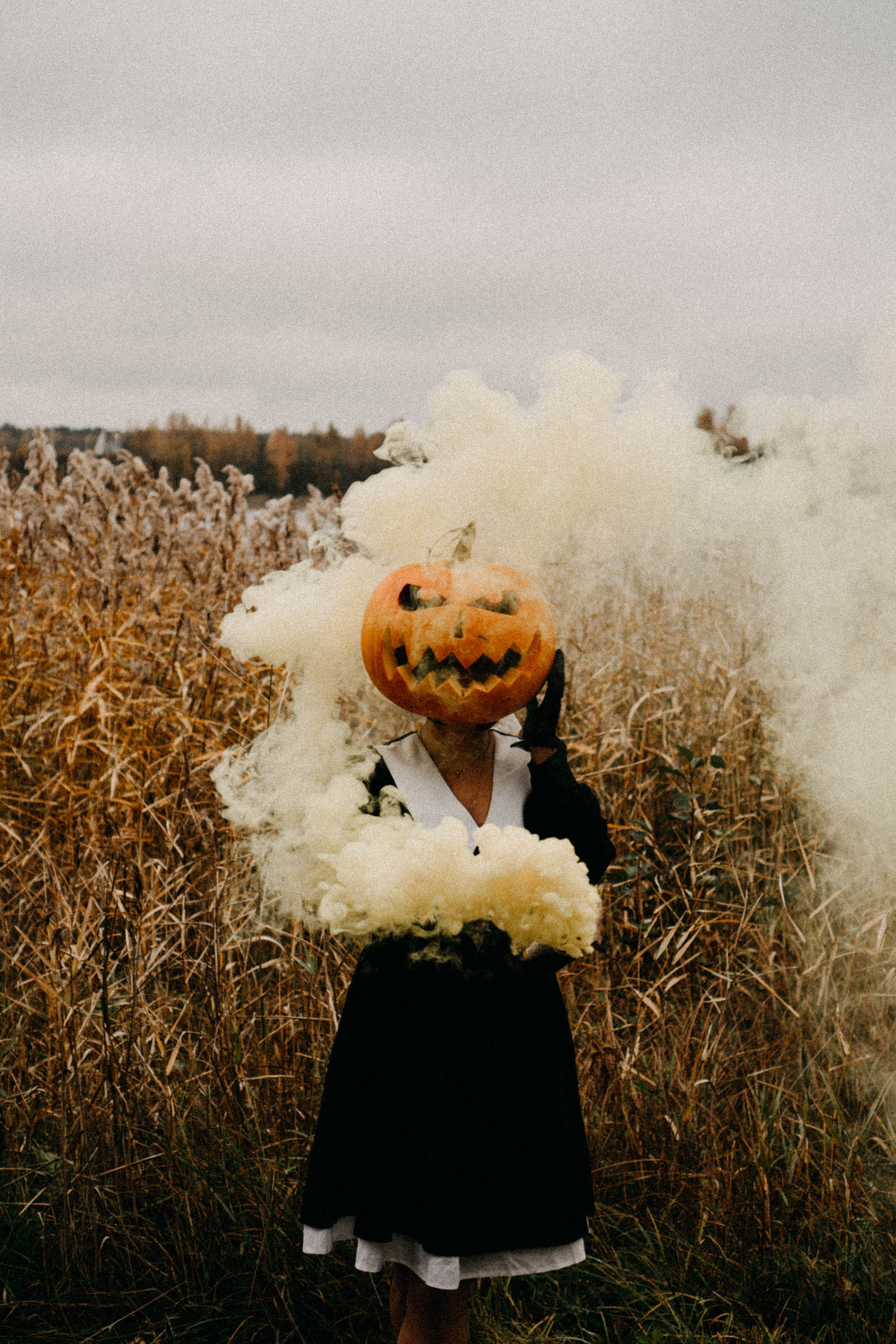 Осеняя. Профессиональный фотограф, Санкт-Петербург — Виктория Богомолова