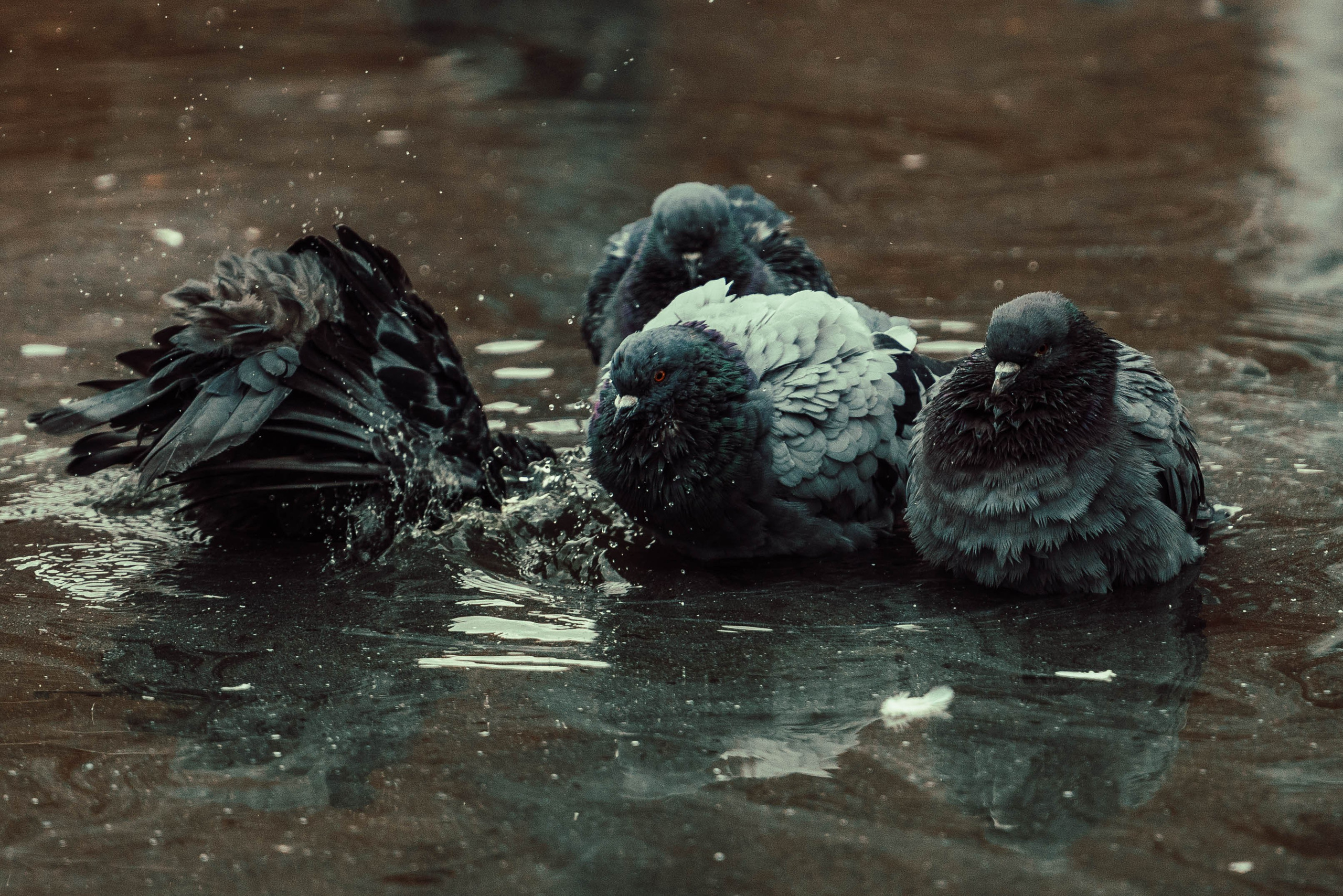 Усть-Каменогорск, Сентябрь 2024