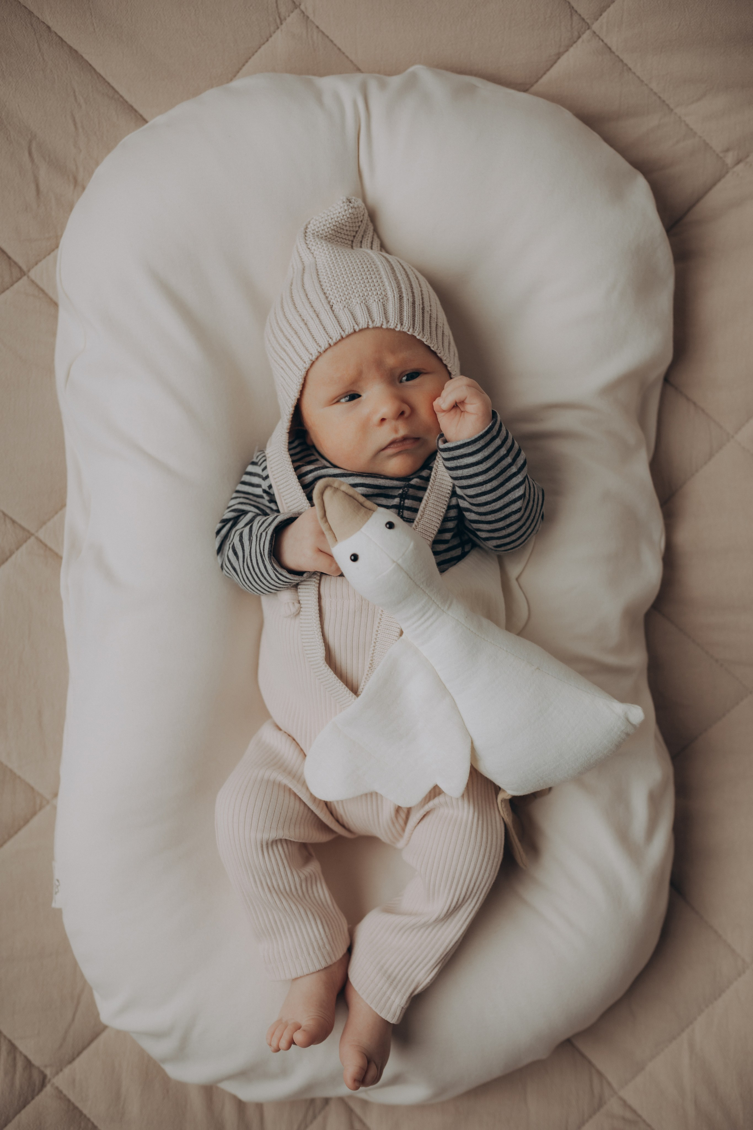 Фотограф новорожденных Томск. Фотограф новорождённых семейный фотограф Томск Елена Каплина