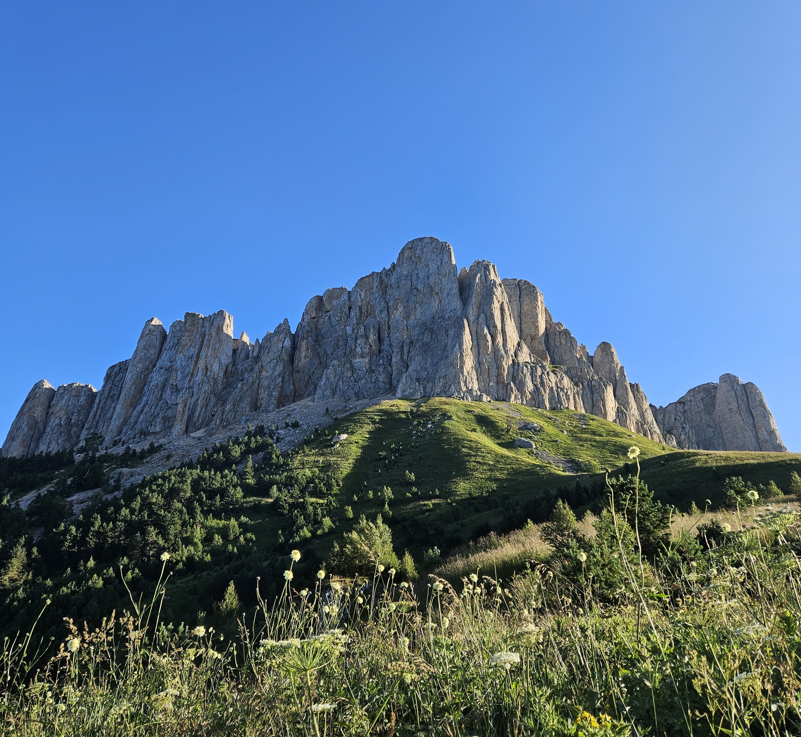 БОЛЬШОЙ ТХАЧ. Любовь Моргасова [LU SPRING]: Фотограф и куратор