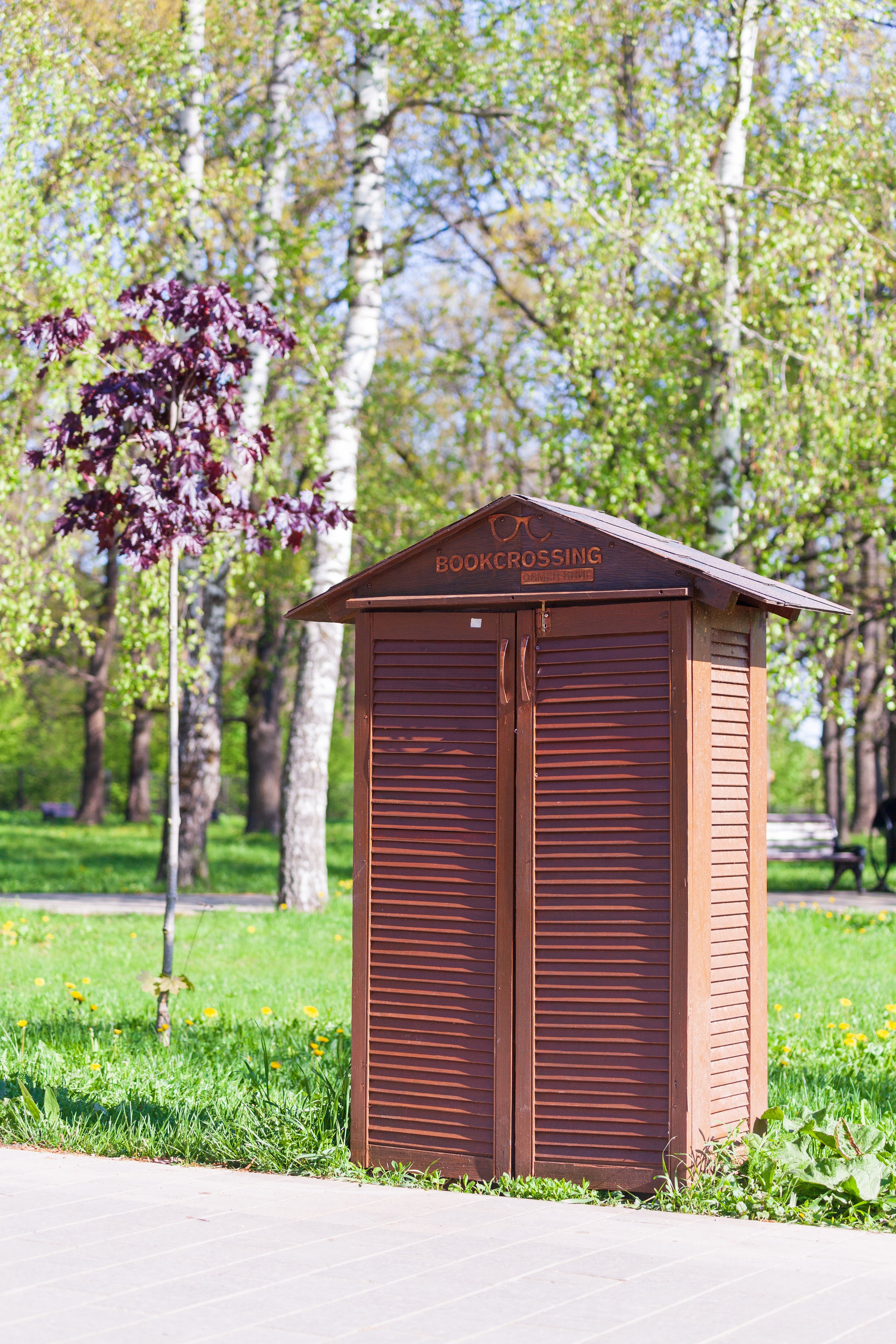 Тропинки детства. Фотохудожник Артём Парамонов