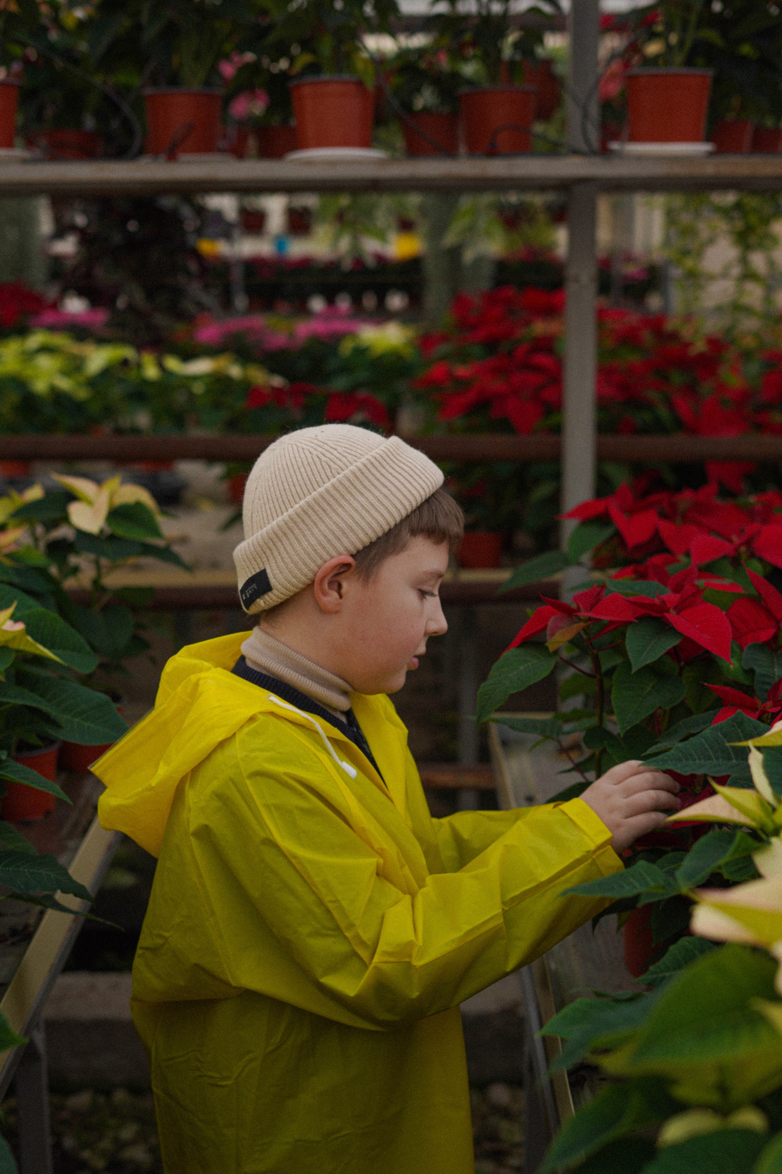 Осень и ее прелести. Свадебный и семейный фотограф Афанасьева Анна в Кисловодске