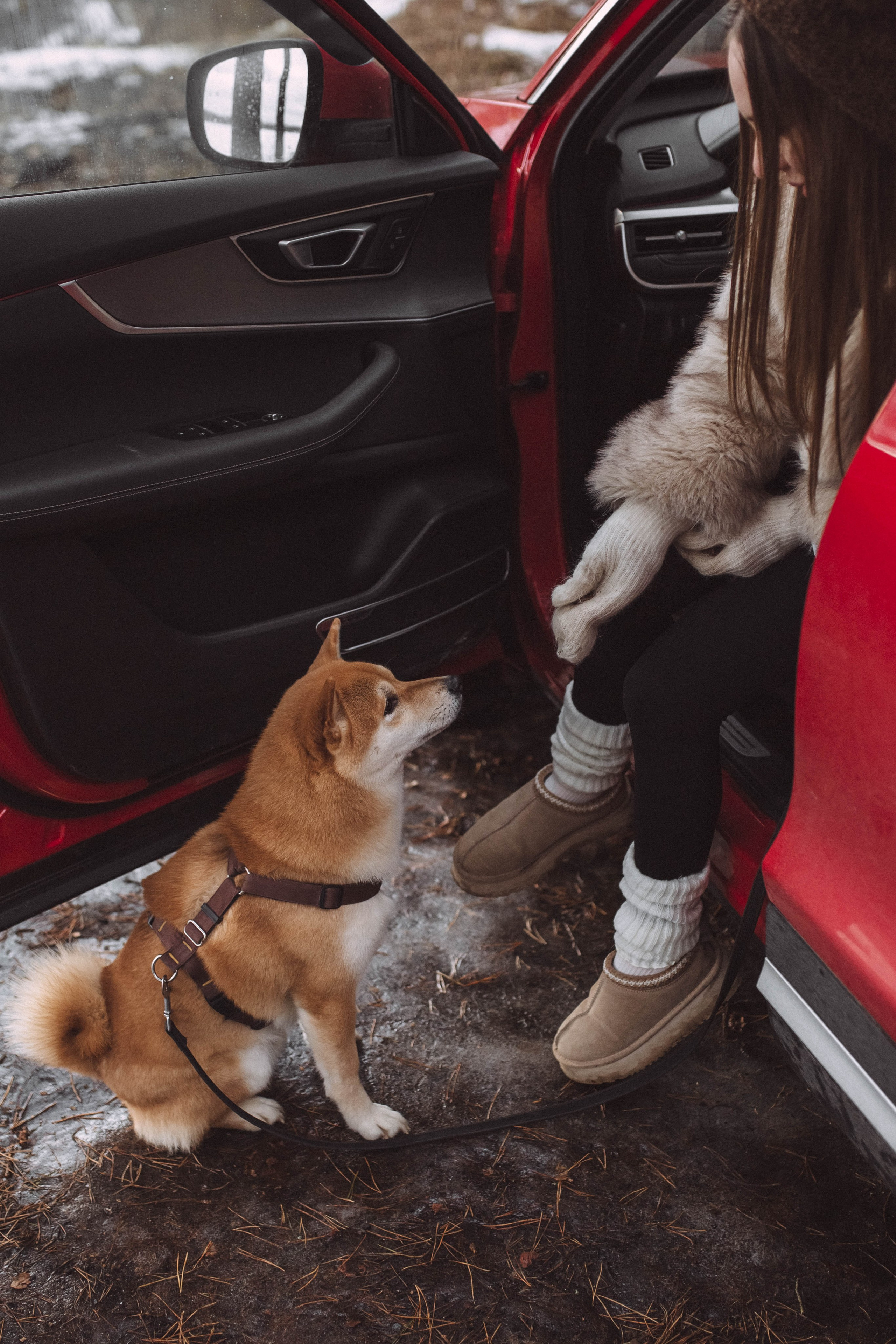Лера и Каппи. Семейный и женский фотограф в Москве/Твери. Меня зовут Яна Гош