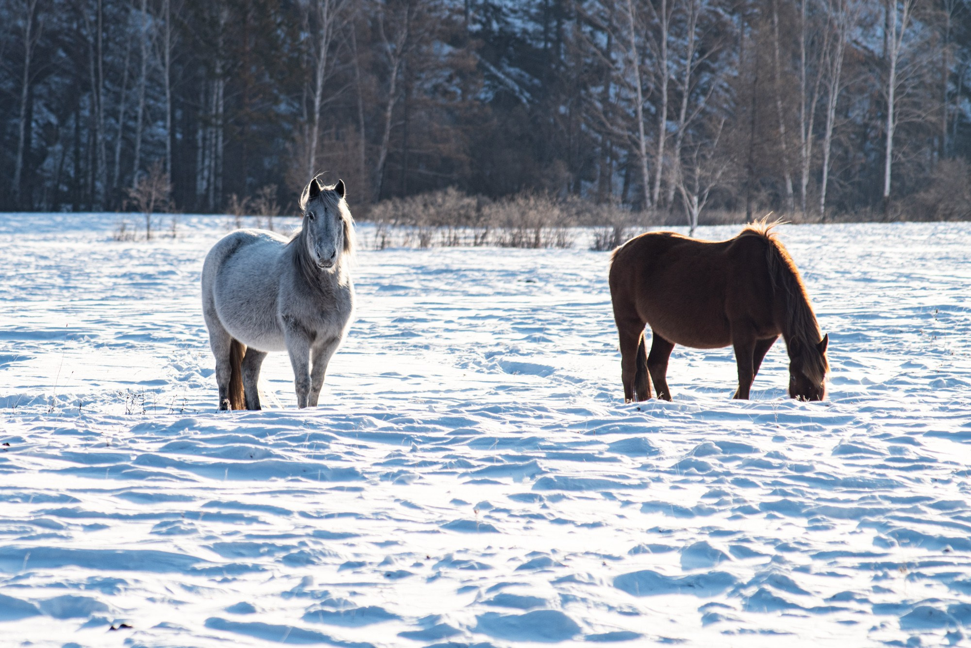 Пейзажи. Семейный и свадебный фотограф в Иркутске Максим Жигалов