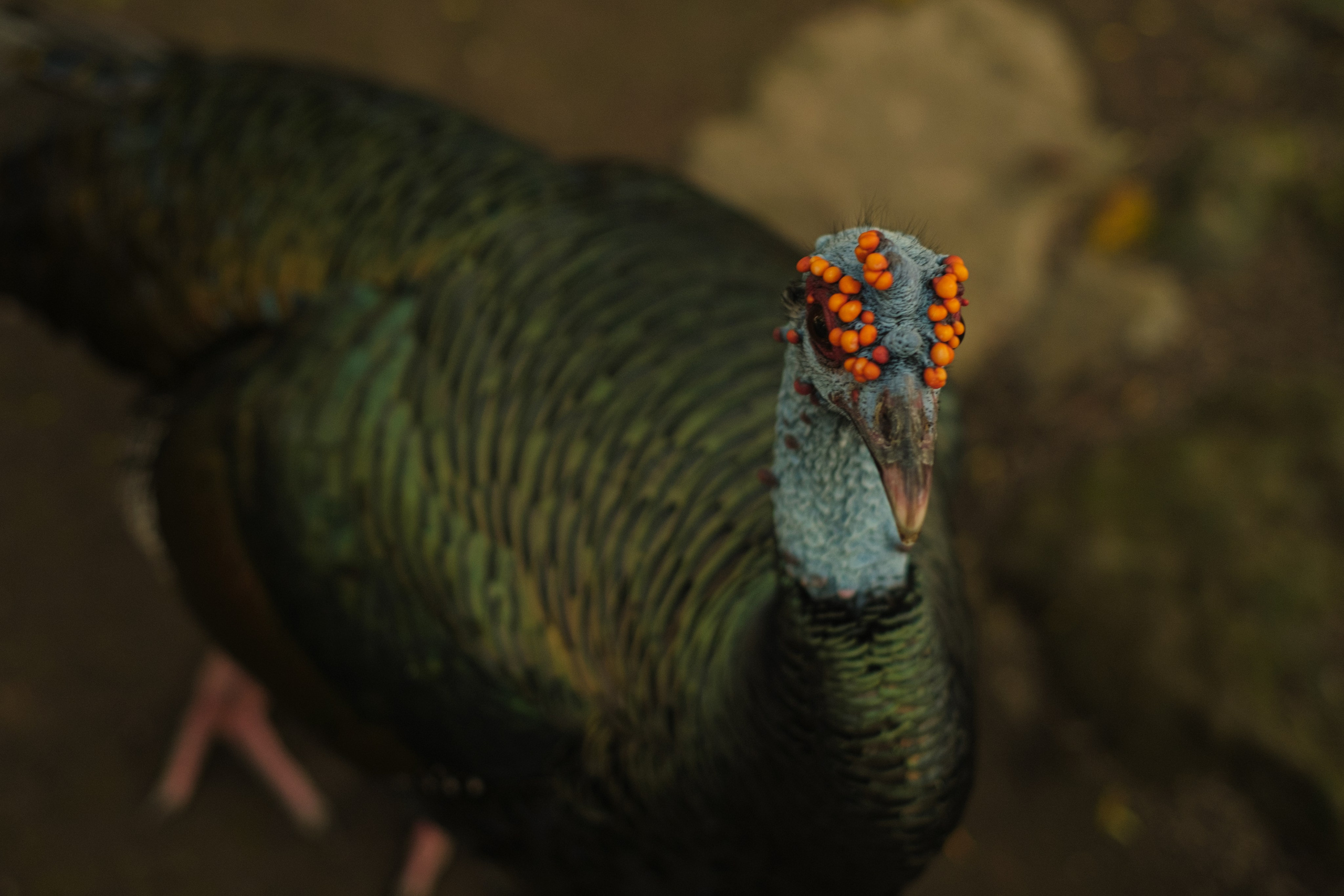 Margarita Rodionova — a contemporary lens-based artist currently working in Cancun, Mexico