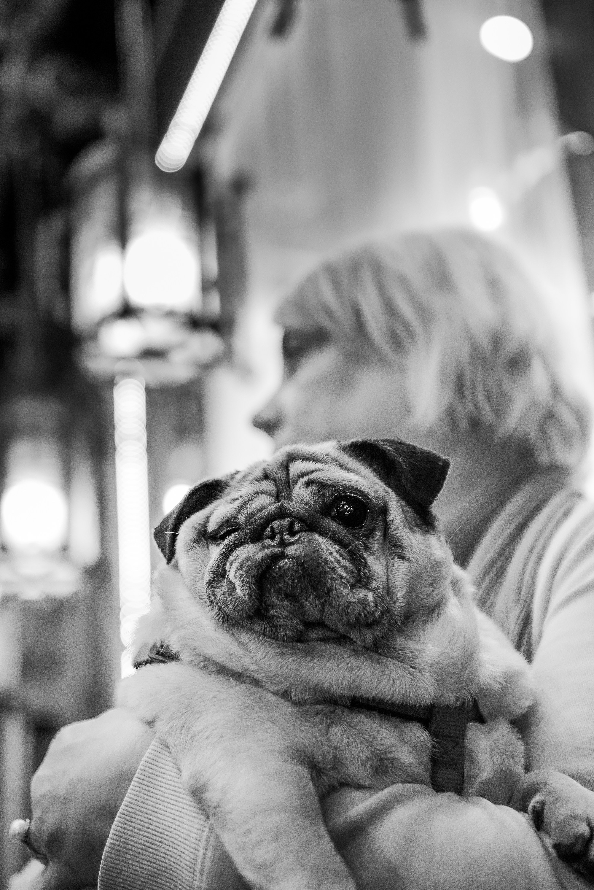 Ольга и Потапум. Прогулка к чайному дому. Семейный Фотограф в Москве Ирина Хохлова