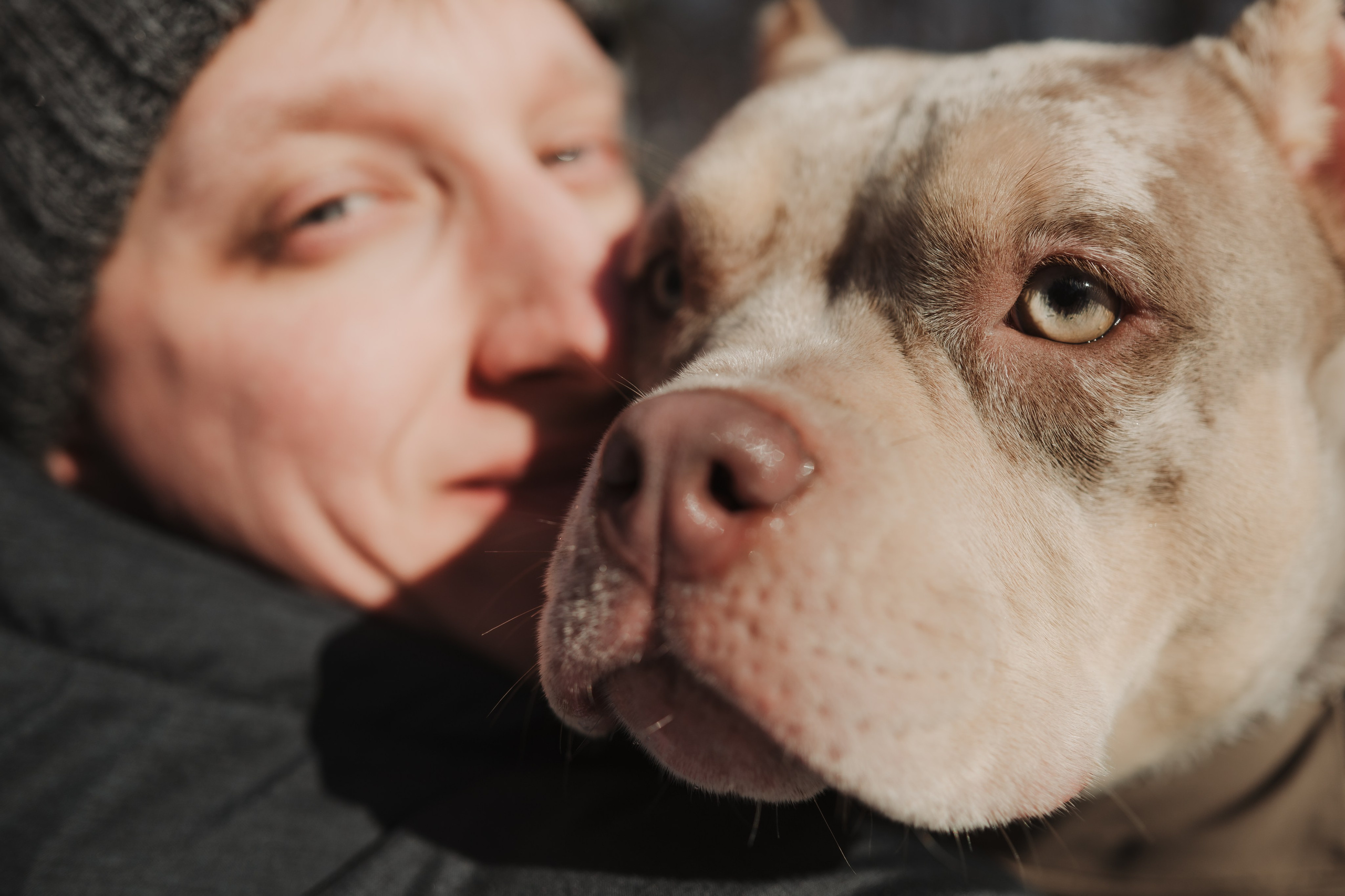 Зимняя LOVE STORY Вики, Артёма и Булочки. Семейный Фотограф в Москве Ирина Хохлова