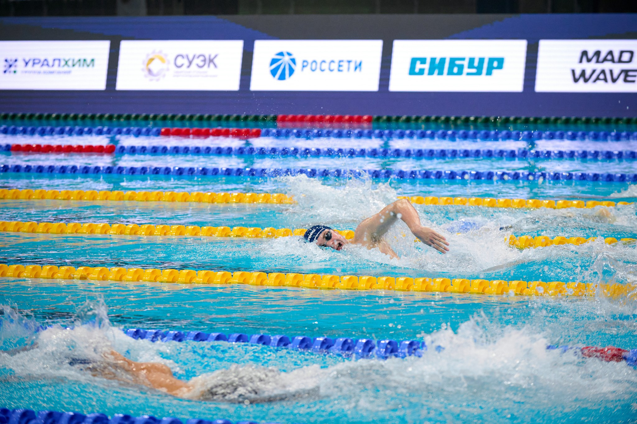 Кубок России по плаванию 2024 г. Екатеринбург. Мезенцев Евгений фотограф