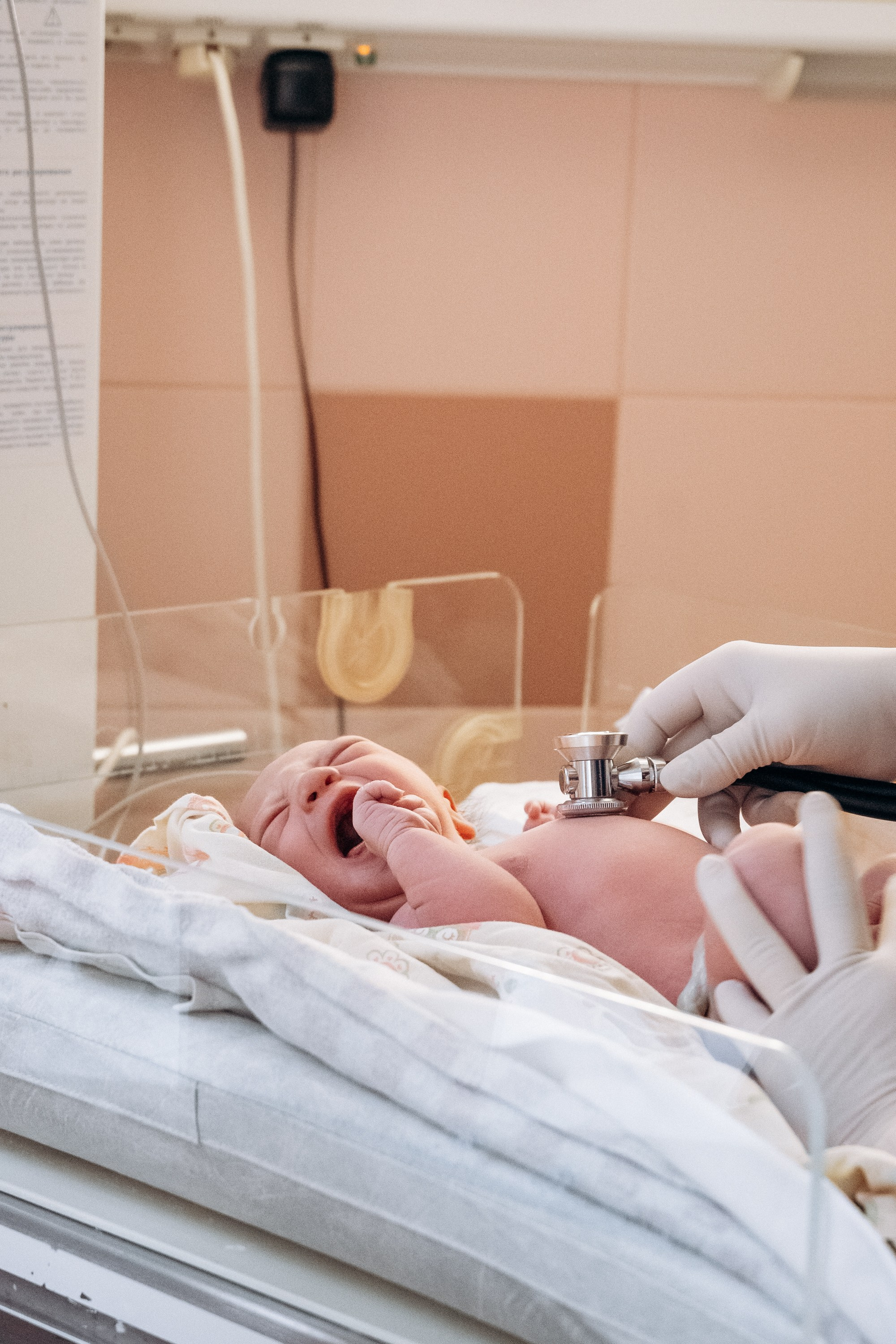 Фотограф на роды в Москве. Фотограф на роды в Москве Алла Rockymouse