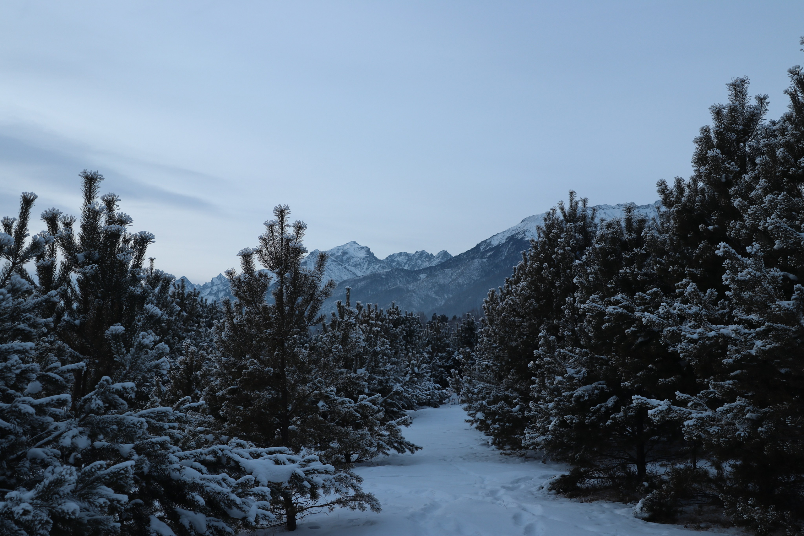 Аршан. Январь 2024. Путешественник-фотограф из Санкт-Петербурга Татьяна Свистулина