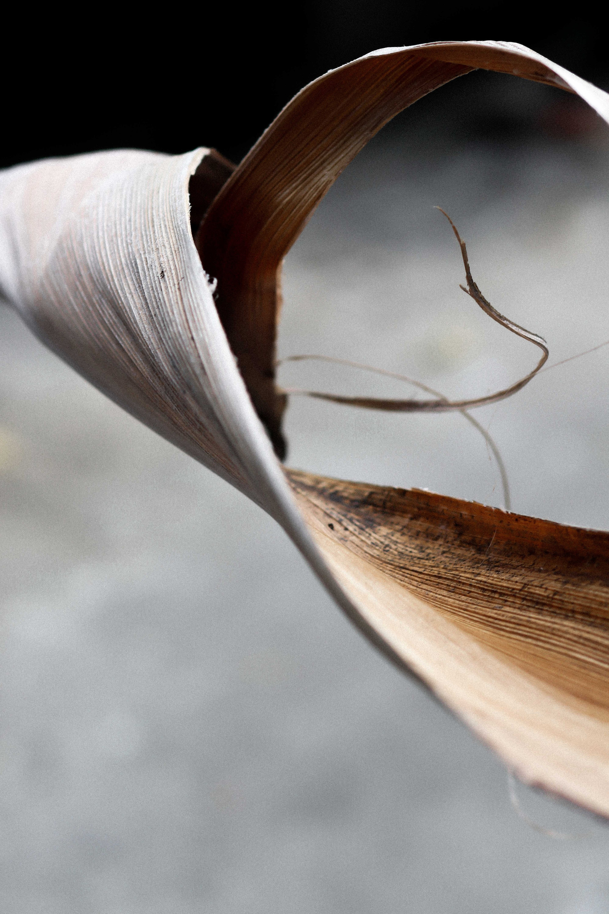 Коллекция украшения из натуральных камней. Фотограф на Шри-Ланке